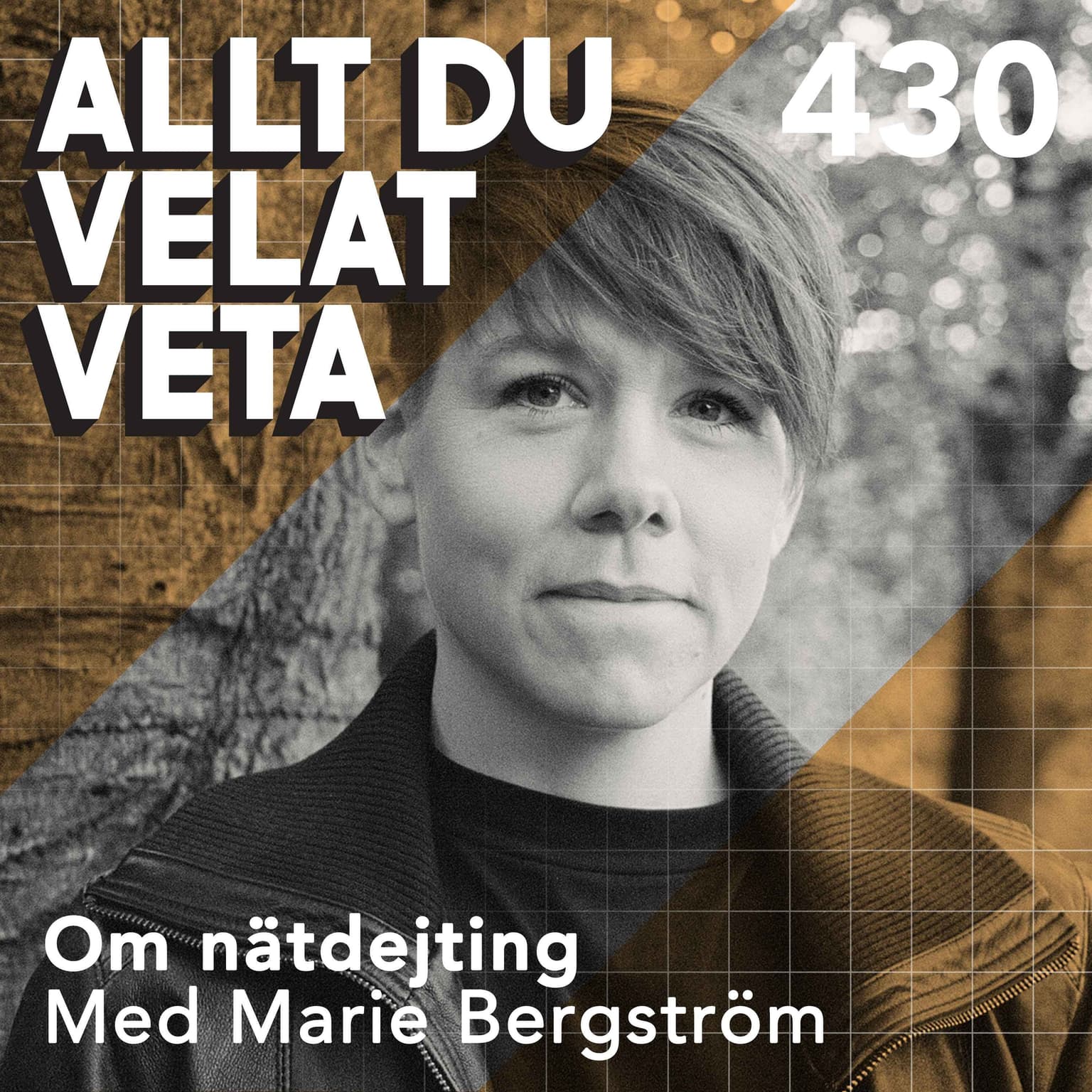 430 Om nätdejting med Marie Bergström artwork
