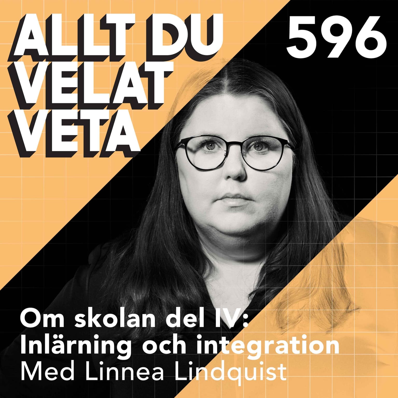 595 Om skolan del IV - om inlärning och integration med Linnea Lindquist artwork