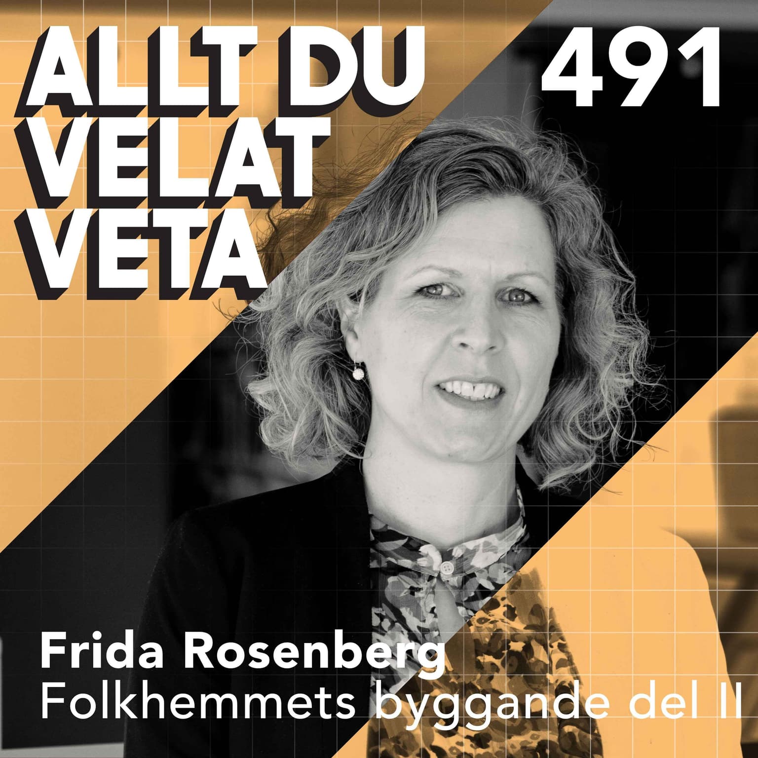 491 Om folkhemmets byggande del II artwork