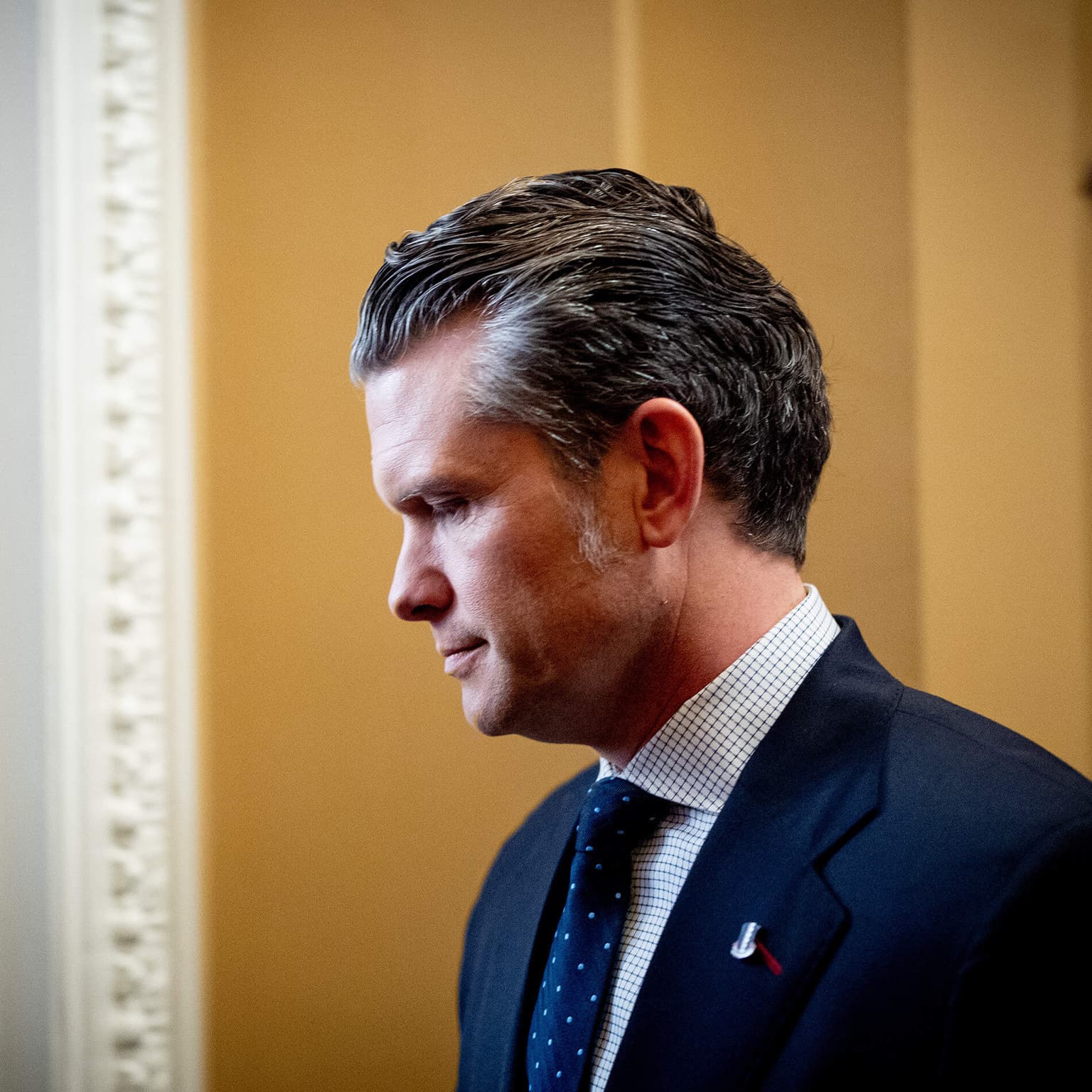 Can Pete Hegseth's nomination survive? artwork