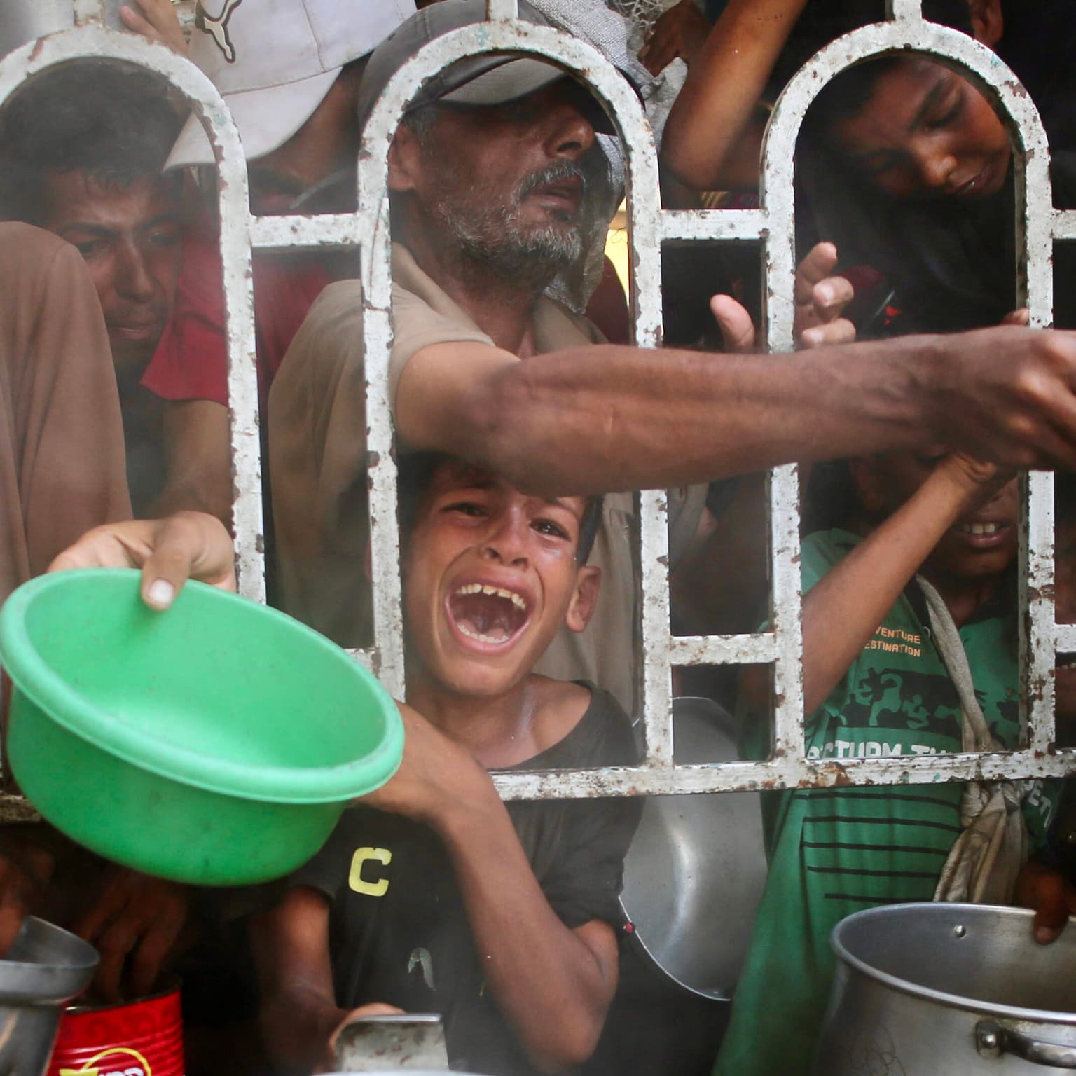 What reporting in Gaza shows amid Trump's break from Netanyahu on starvation artwork