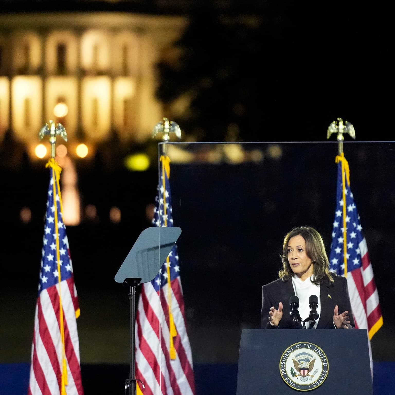 Harris makes her final pitch for her presidency artwork