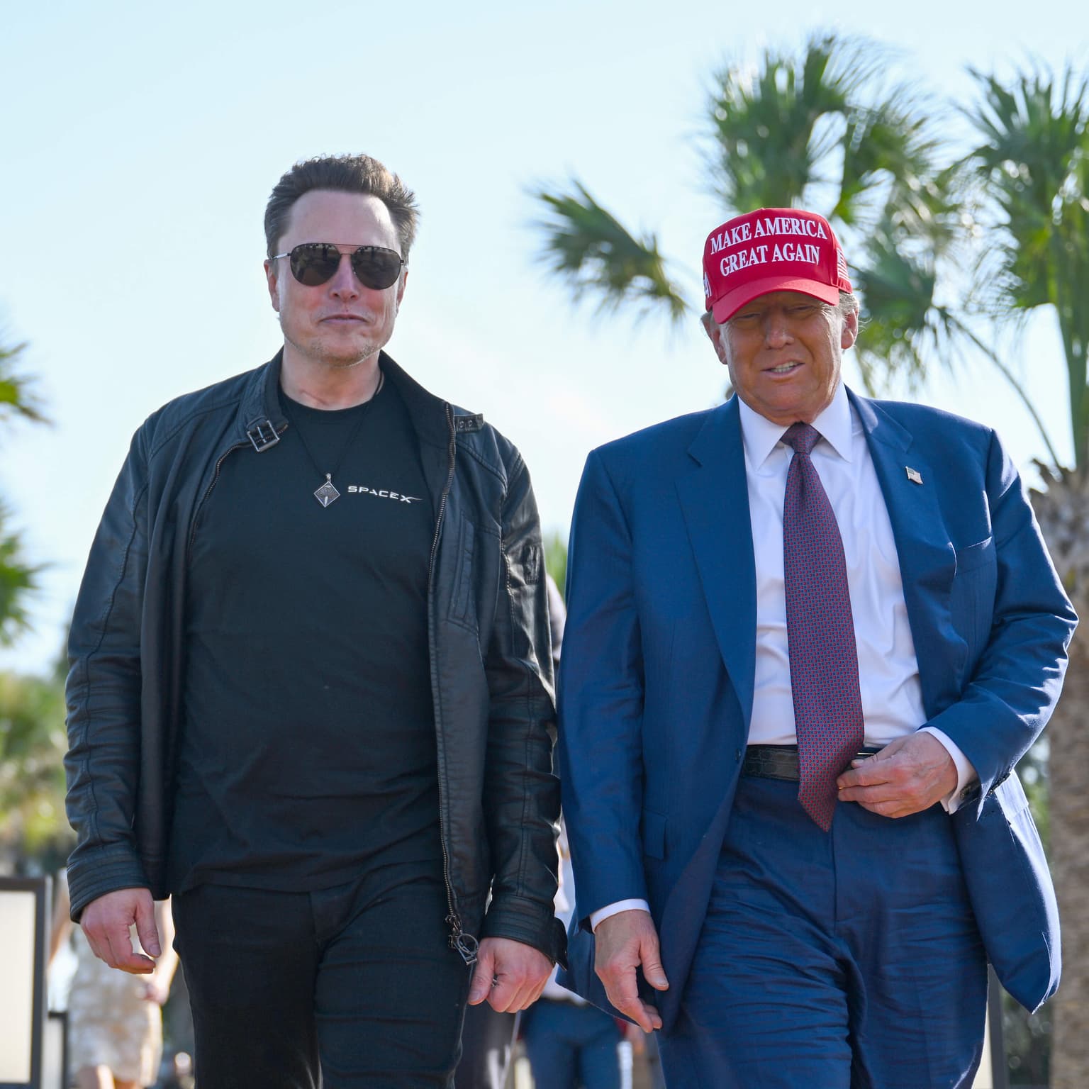 Elon Musk wades into European politics artwork
