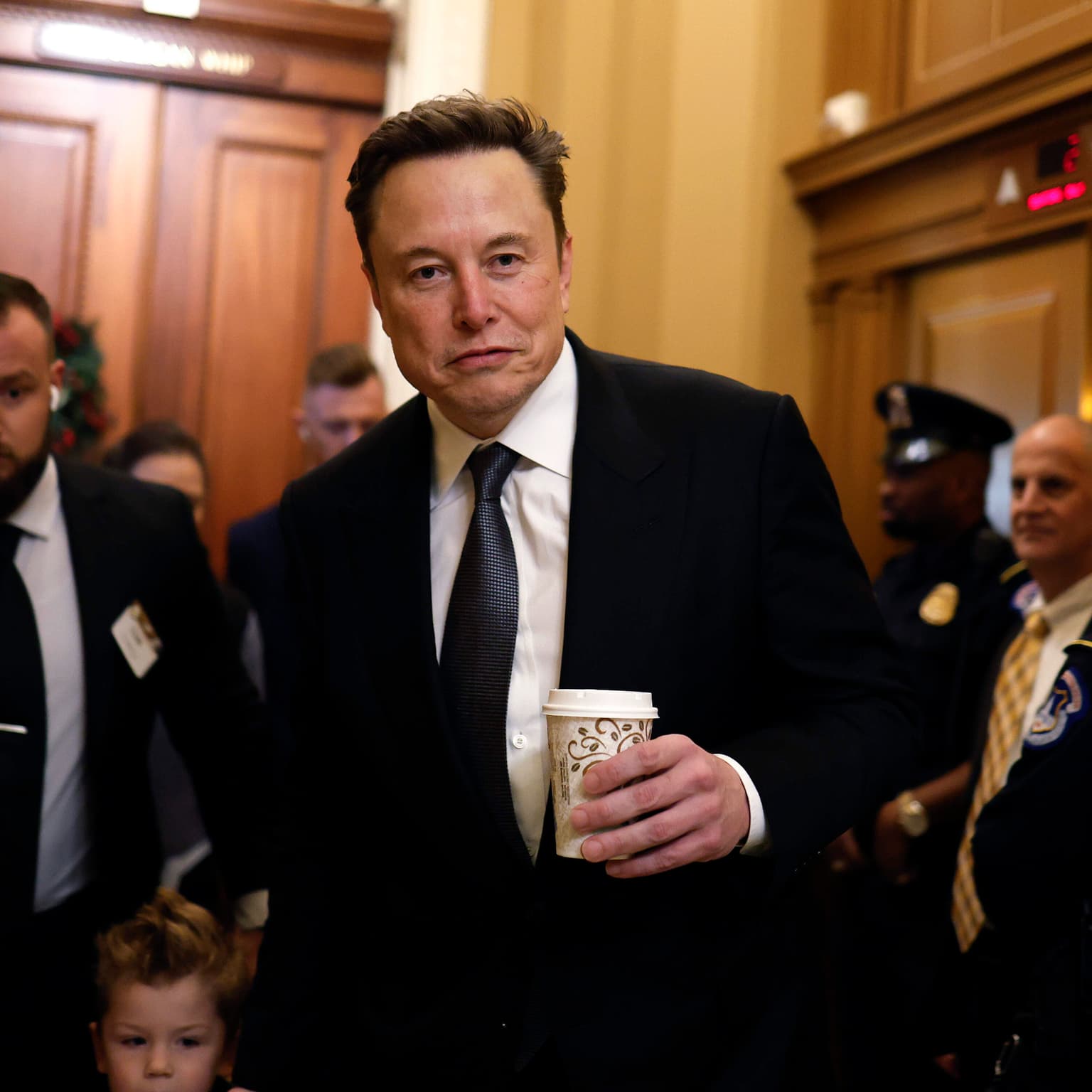 What does Elon Musk get out of remaking the government? artwork