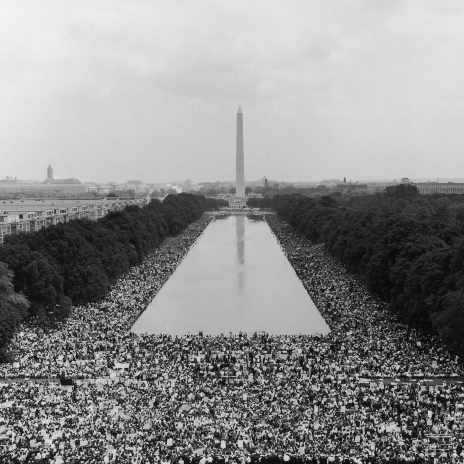 Americans are protesting the Trump administration. Do they work? artwork