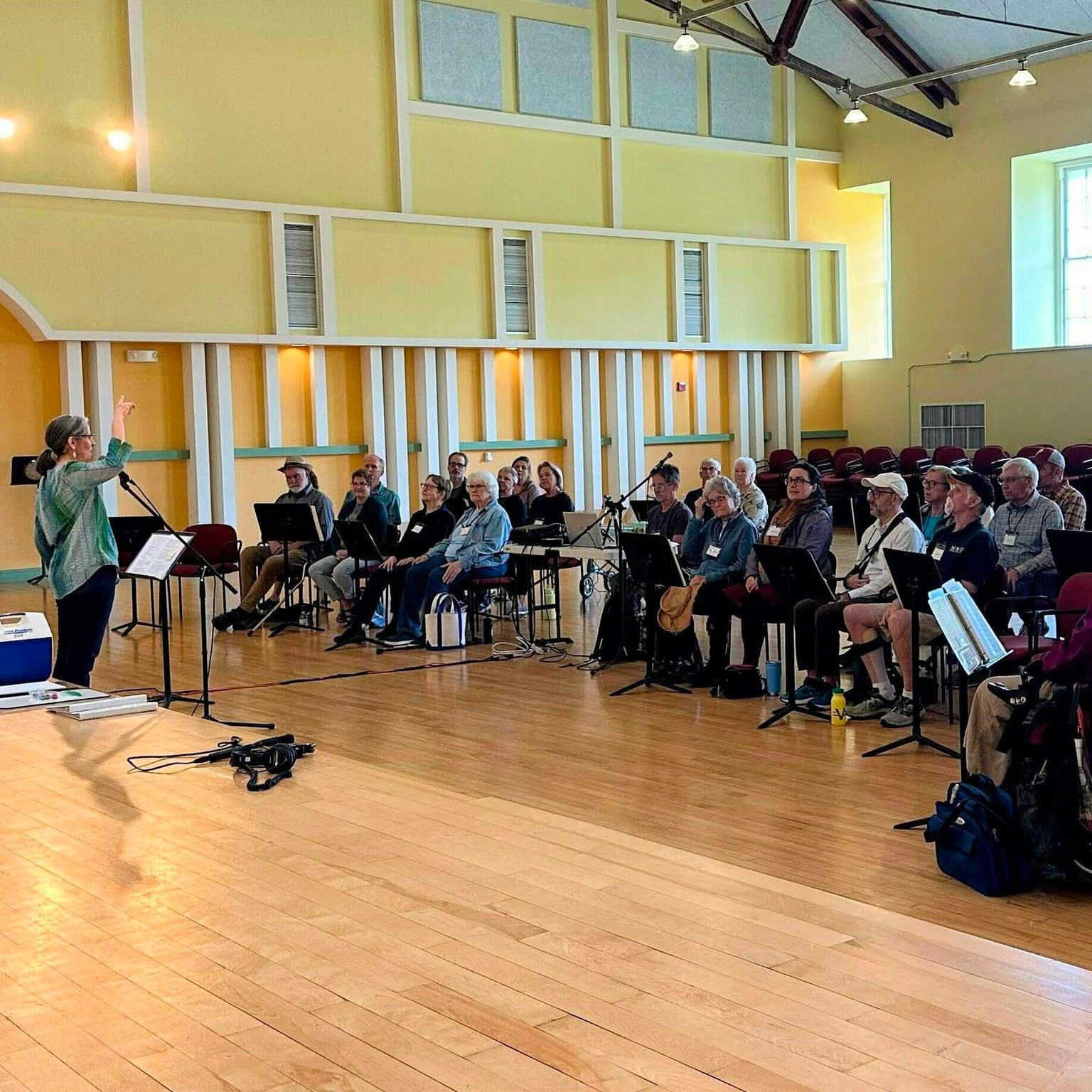 Bonus Episode: The Aphasia Choir artwork