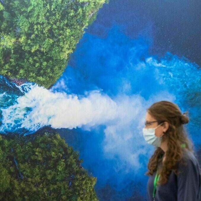Are biodiversity efforts keeping up with the effects of climate change? artwork