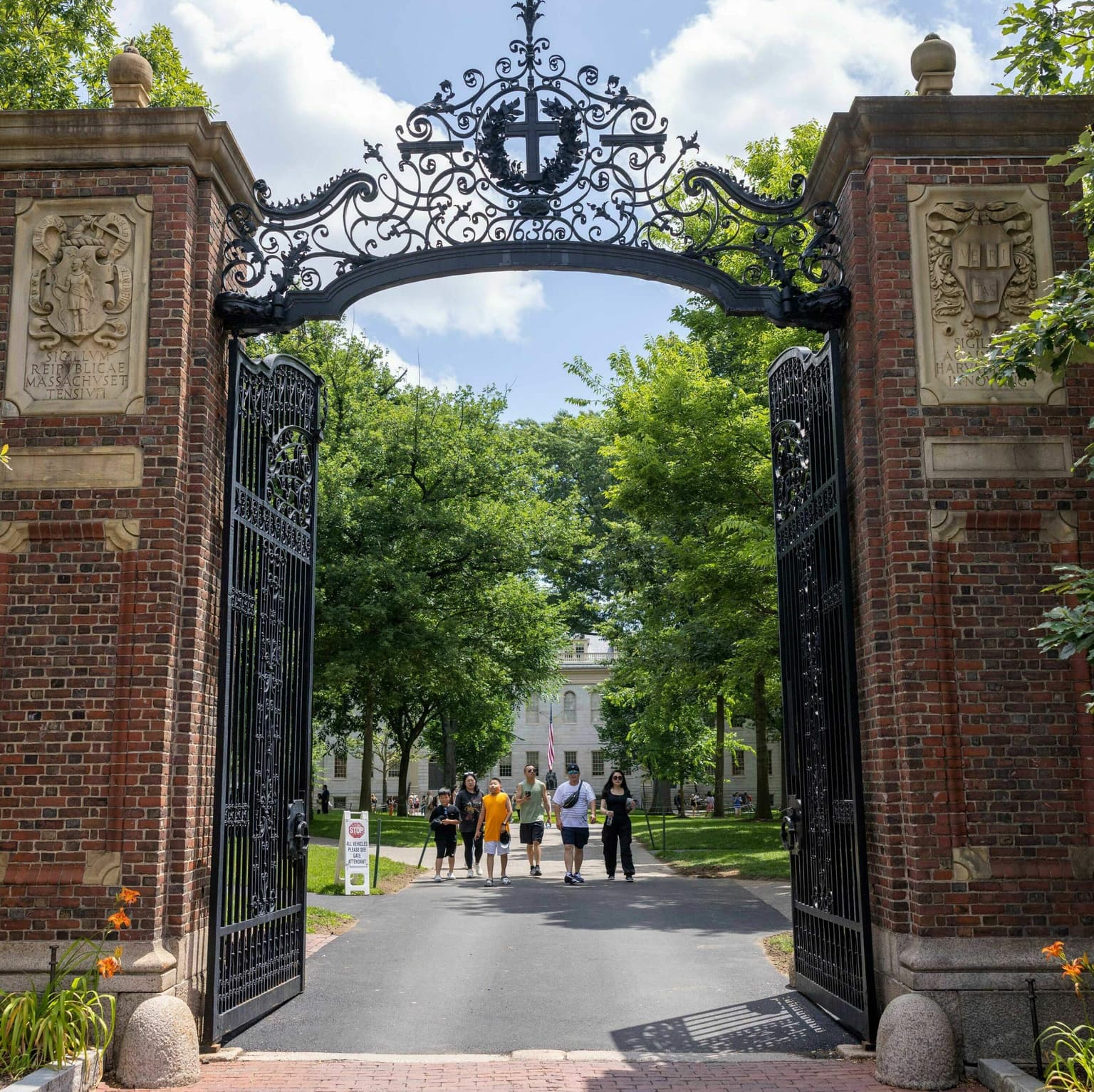 Who loses when Trump cuts funding to universities? artwork