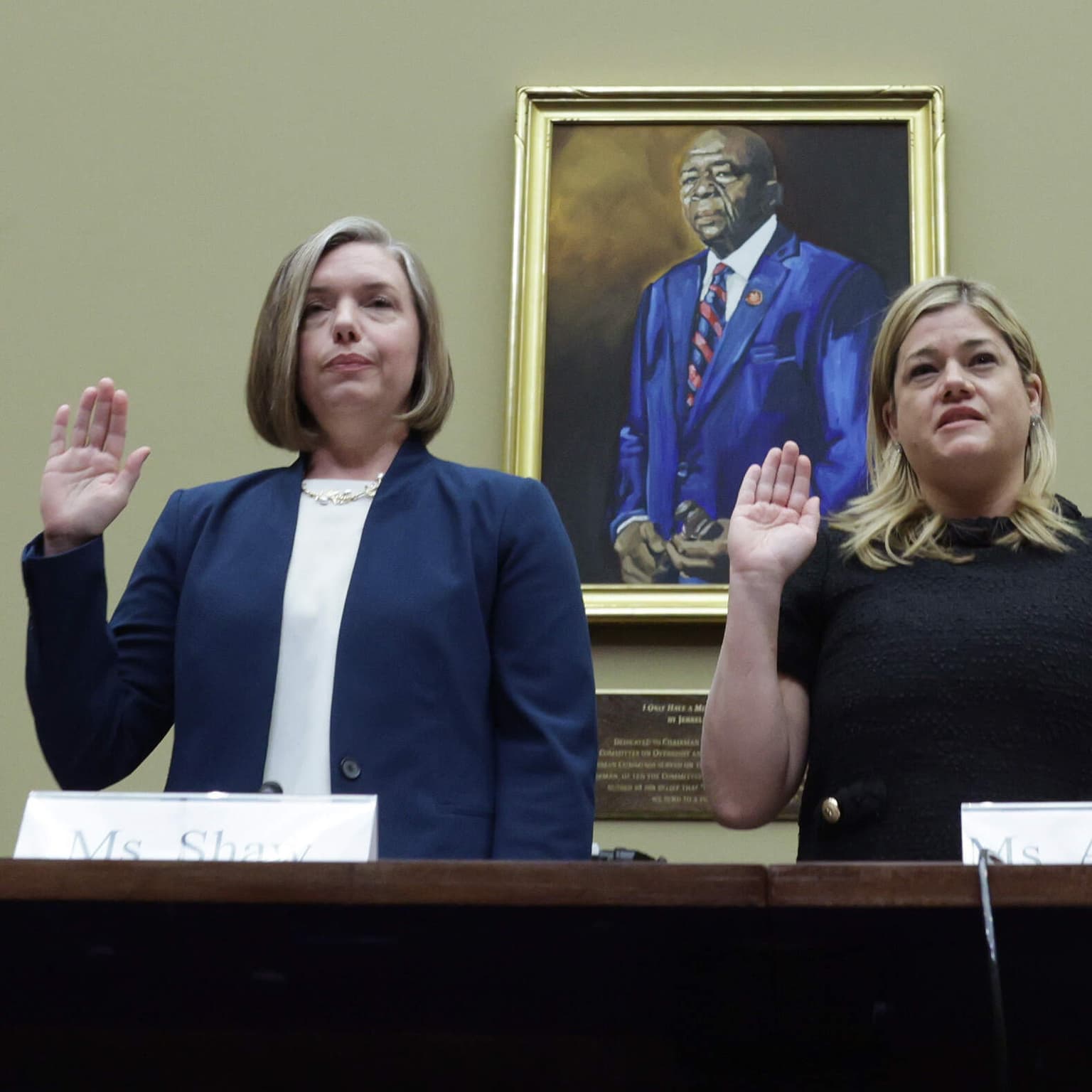 The Trump administration's attacks on oversight of executive power artwork