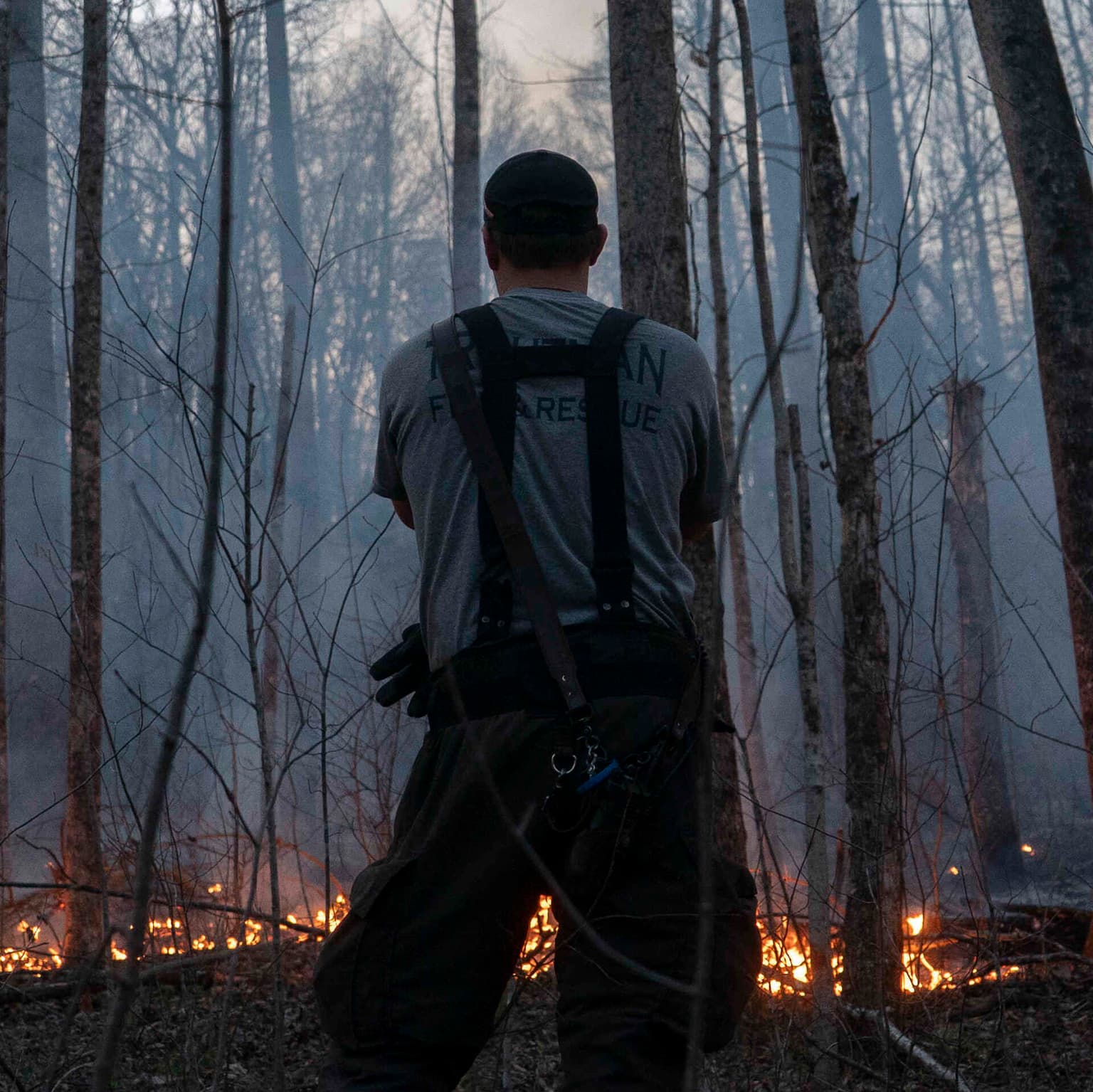 The Southeastern U.S. faces a future with more wildfires artwork