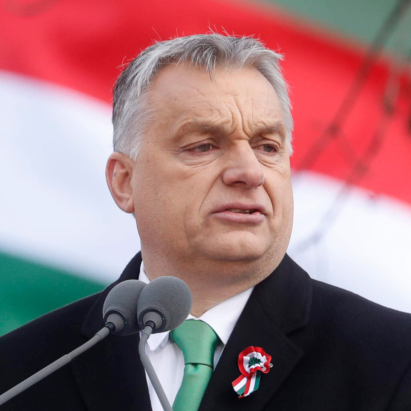 Dismantling Democracy: Lessons from Hungary's Viktor Orban artwork