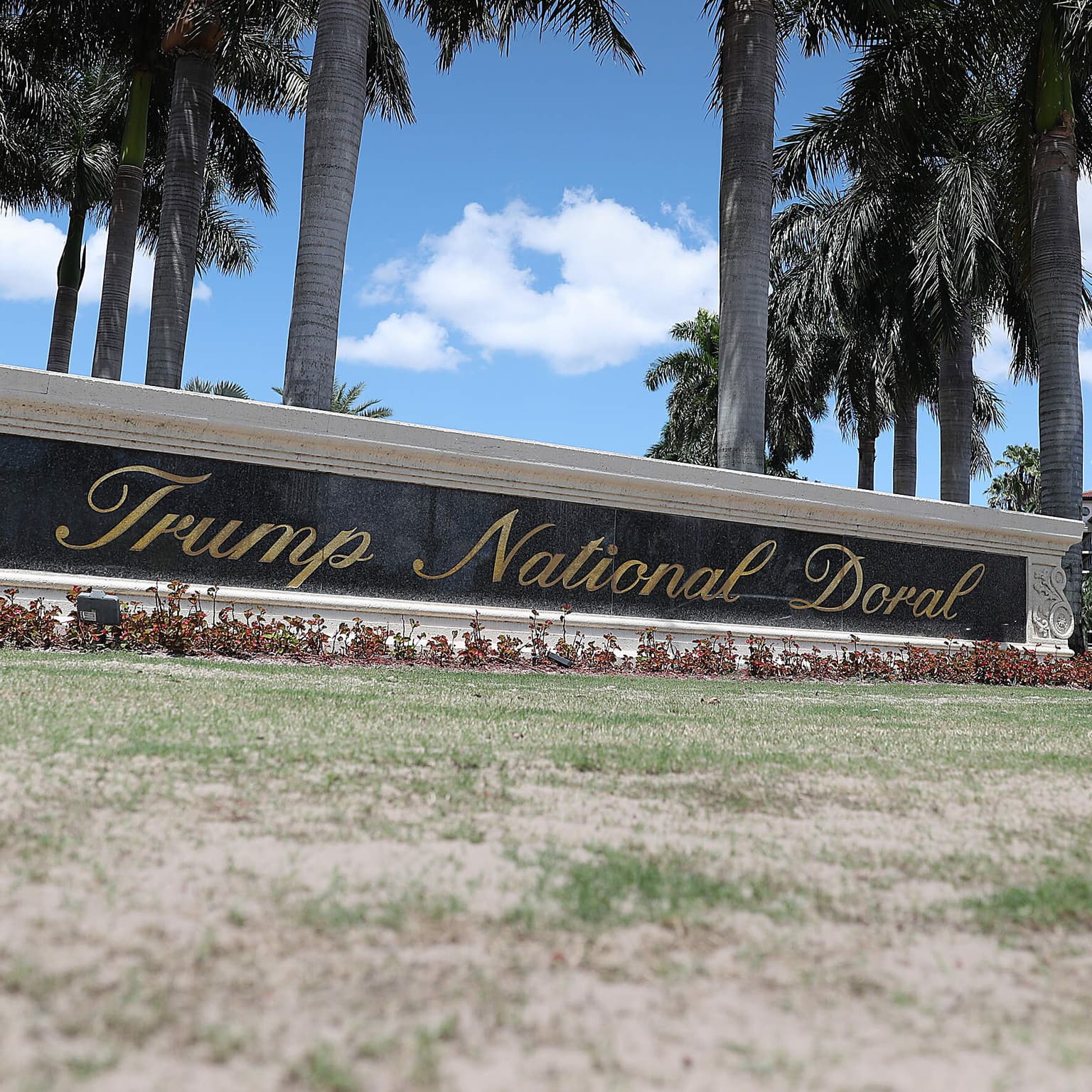 Will Trump's next term make him richer? artwork