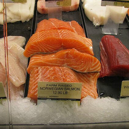 Deep inside a Norwegian fjord, a dream of farming salmon sustainably artwork