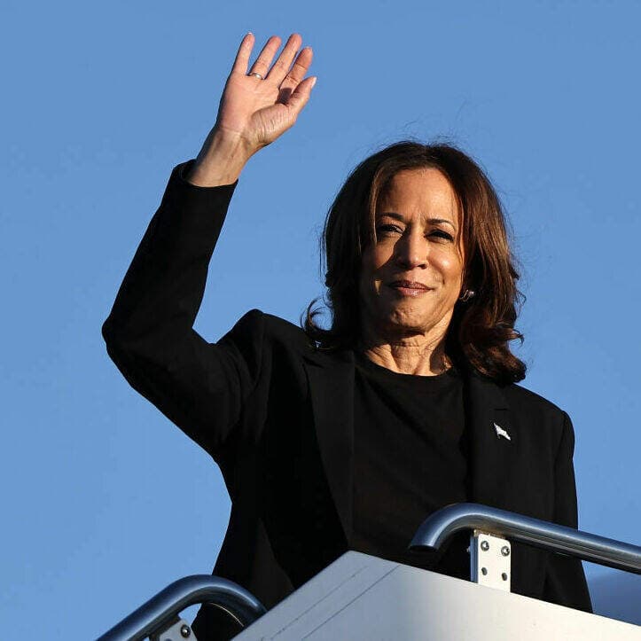 What would a Harris win mean for mixed-race Americans? artwork