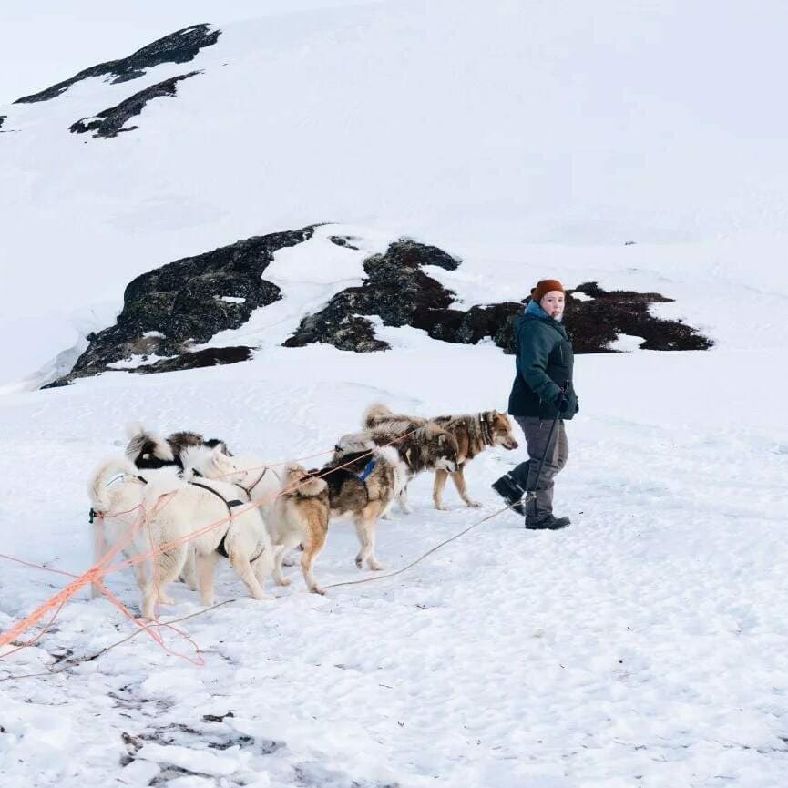 On the road in Greenland, north of the Arctic Circle artwork