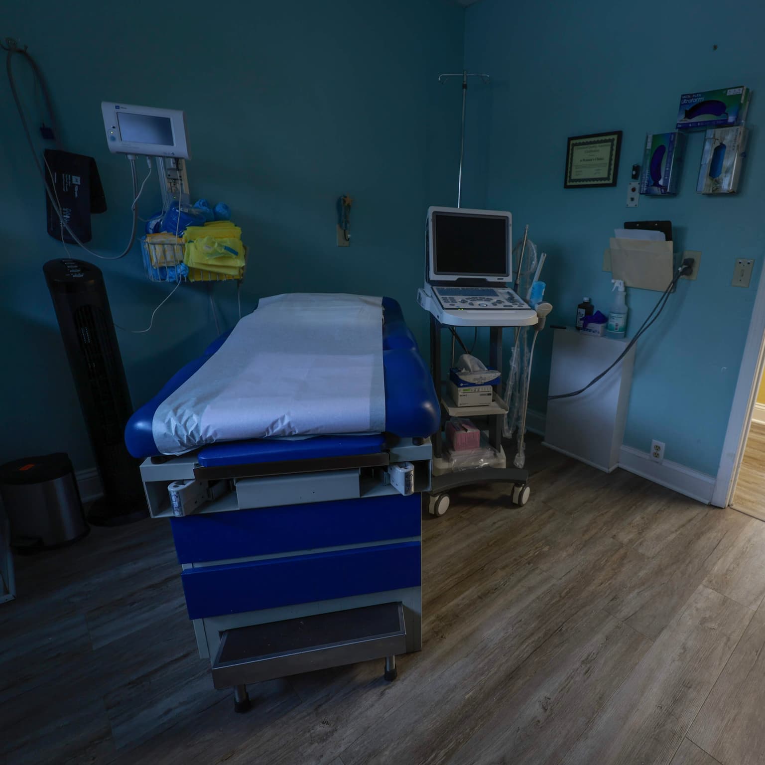 More primary care doctors could begin to provide abortions artwork
