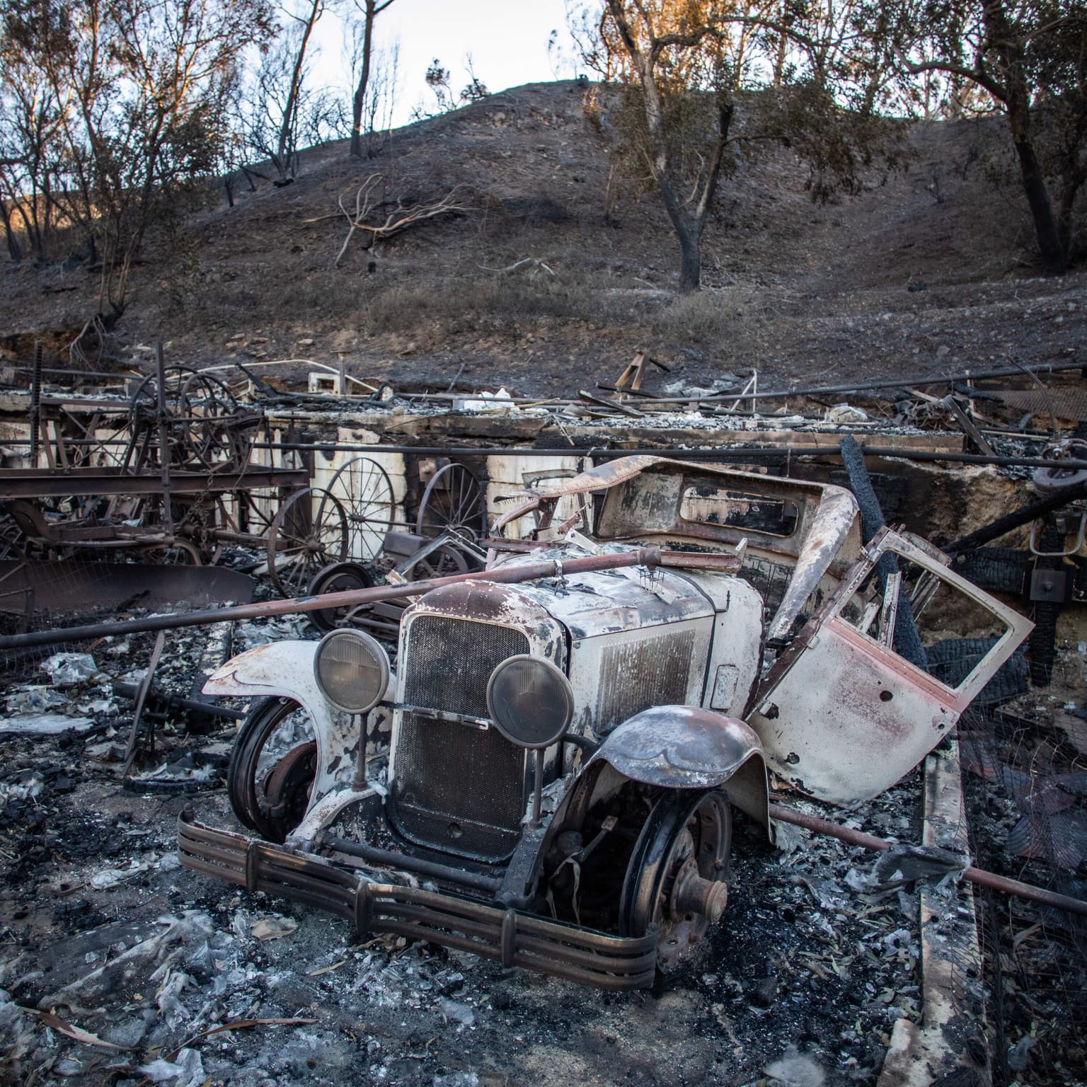 'The birds are back.' Resilience in the ruins of the Palisades fire artwork