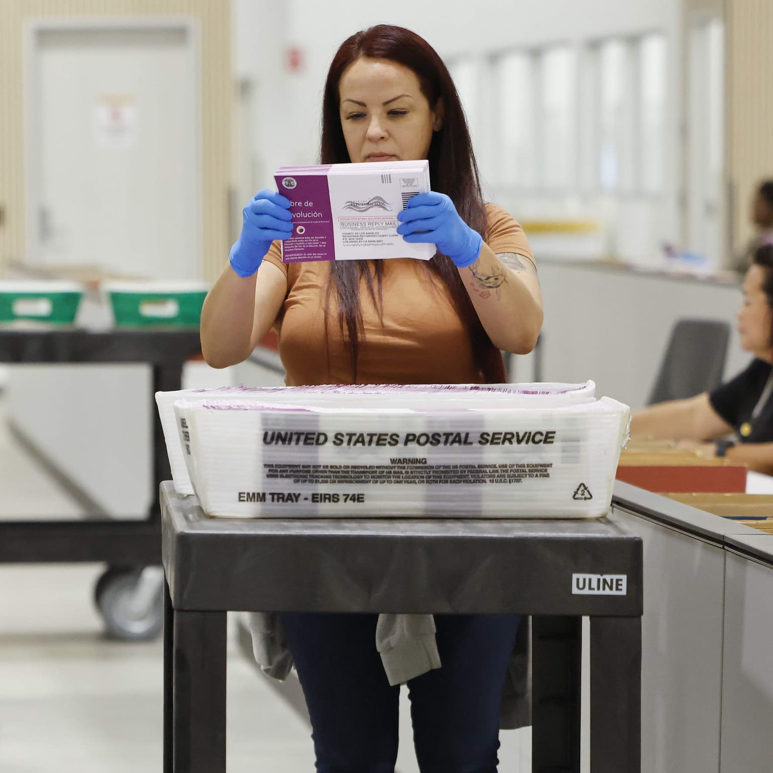 What does it mean when the president urges Republicans to "nationalize the voting"? artwork