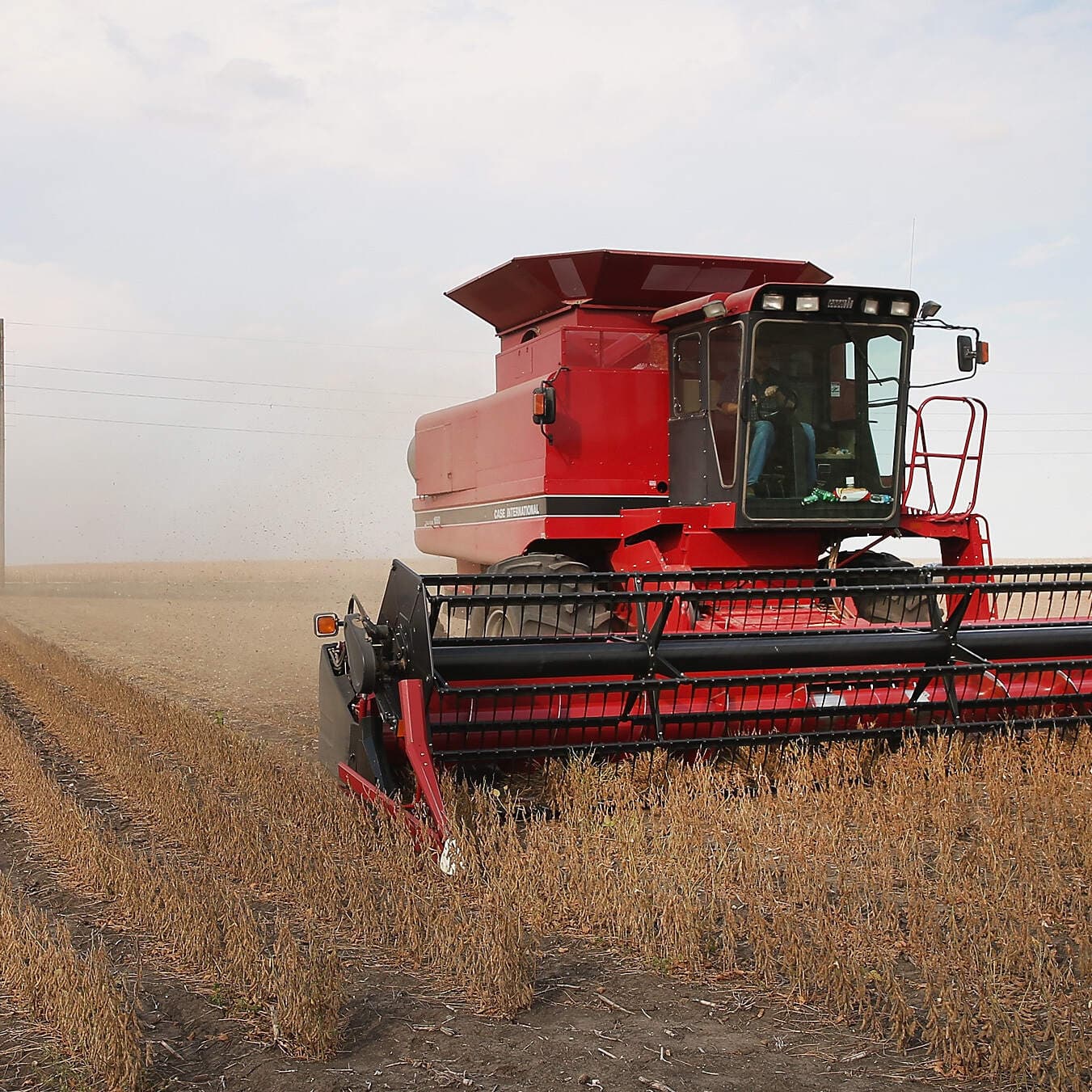 Farming is uncertain — a trade war makes it more so artwork