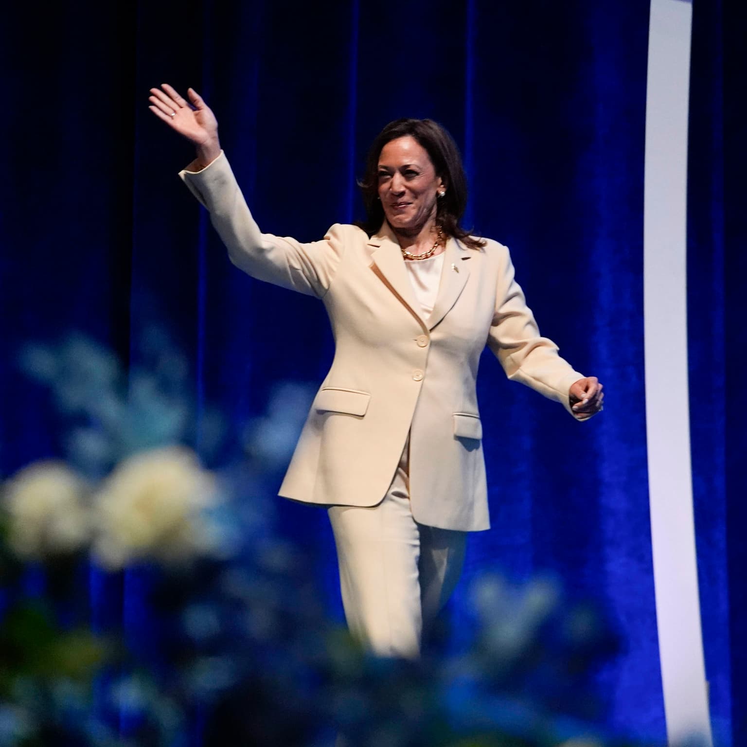 Who will Vice President Kamala Harris pick to be her running mate? artwork