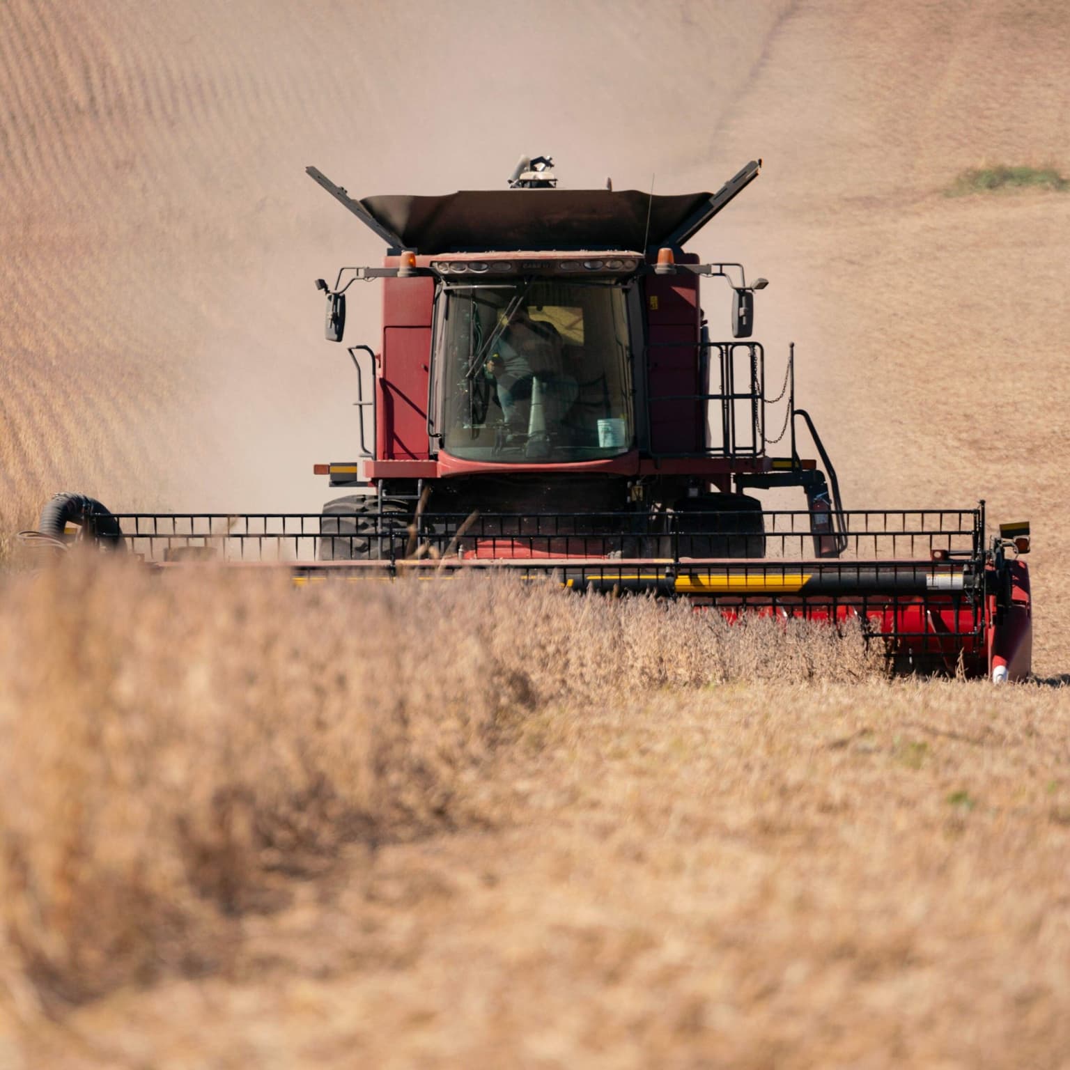 Farmers already had it bad. The shutdown made it worse. artwork