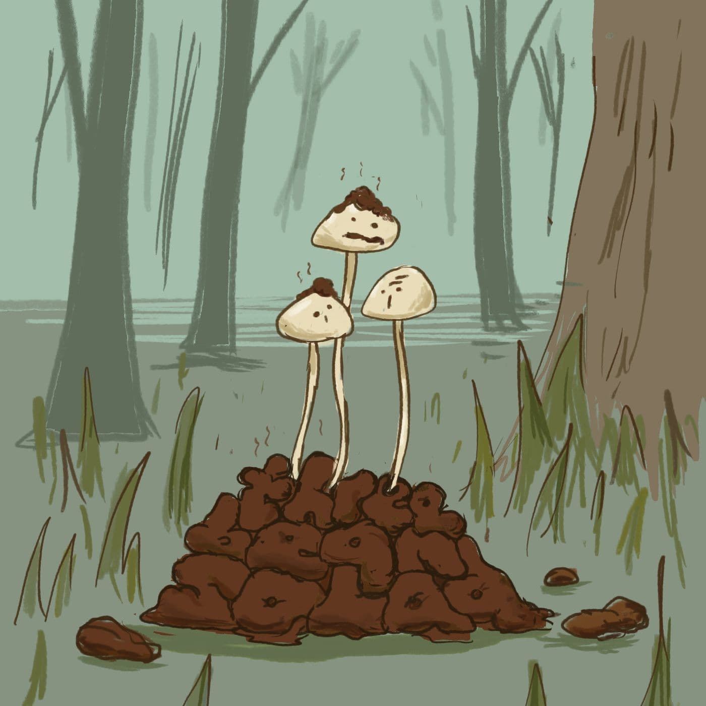 Mushrooms artwork