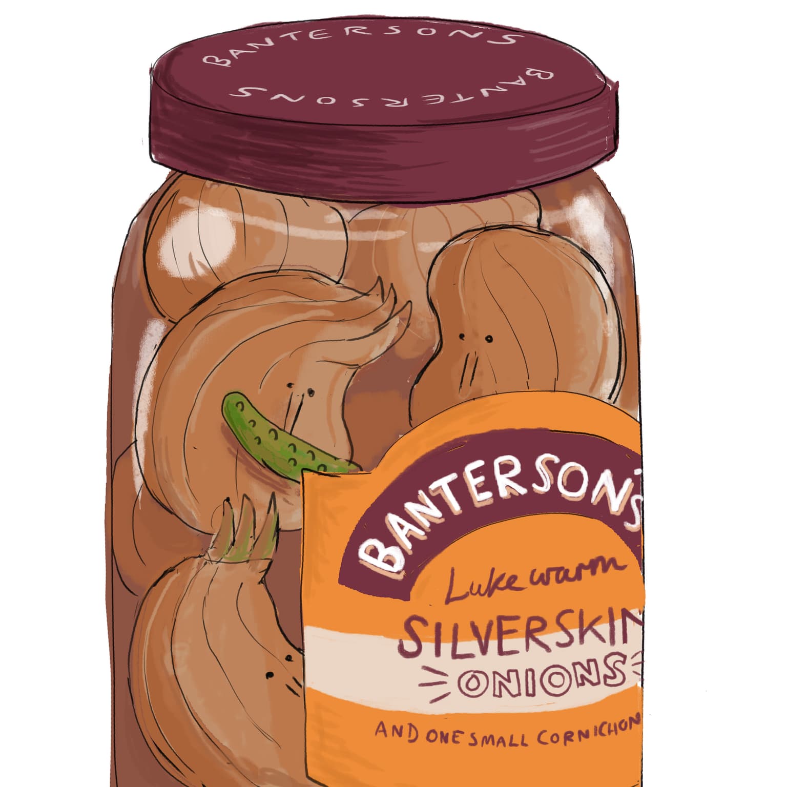 Show Us Your Onions artwork