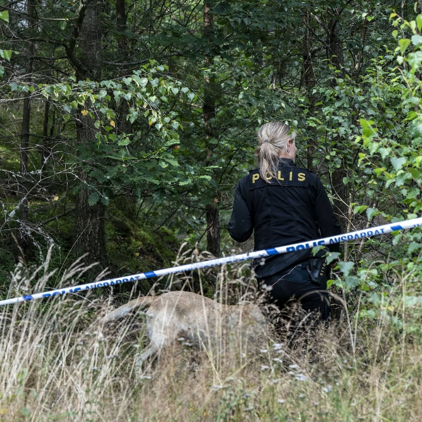 Tvättade efterlysningar hos Aftonbladet, tyst i Ekot om ny dom i Varbergsfallet, larm om urspårat presstöd och oligarkägda medier i Ukraina artwork
