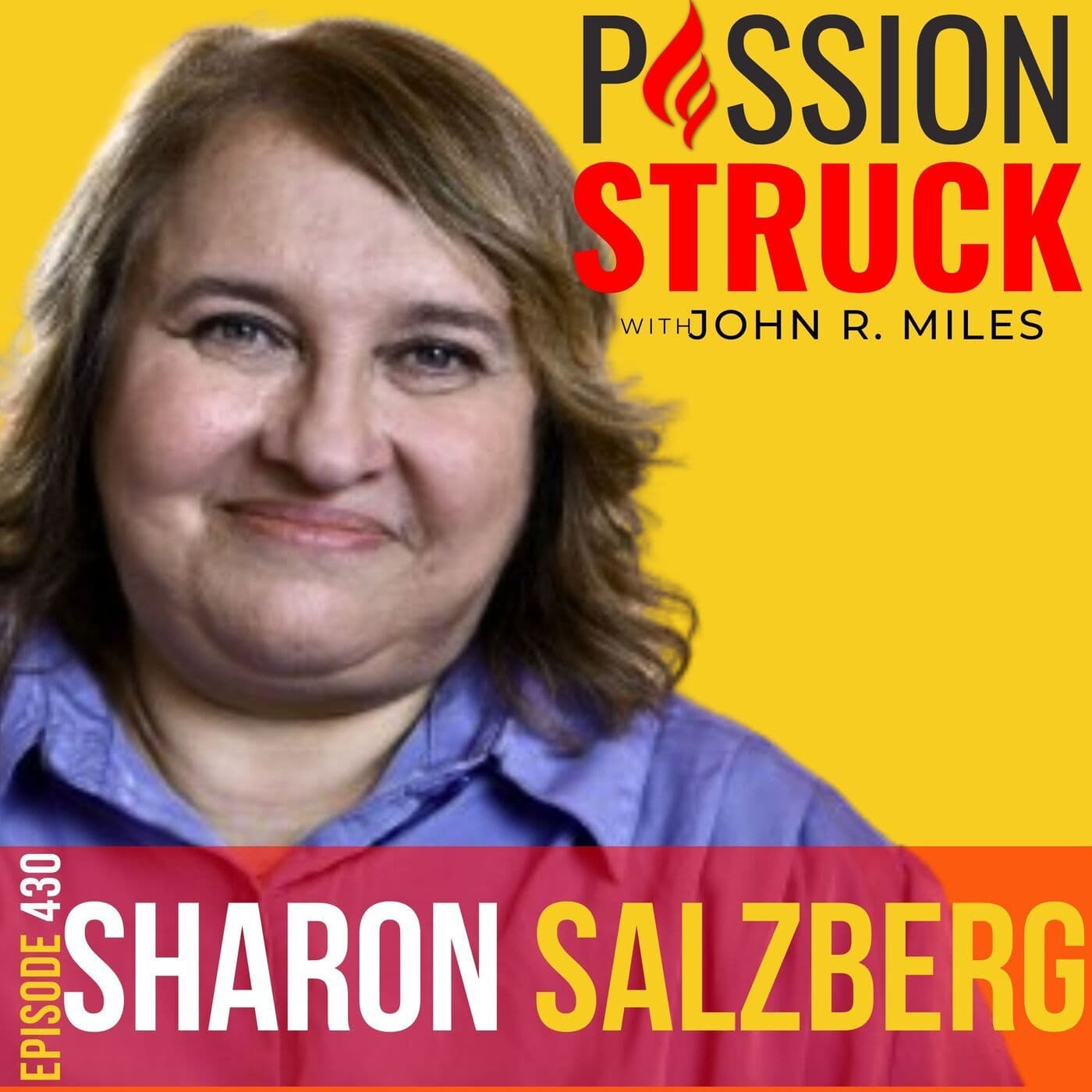 Sharon Salzberg on Finding Balance, Strength and Equanimity EP 430 artwork