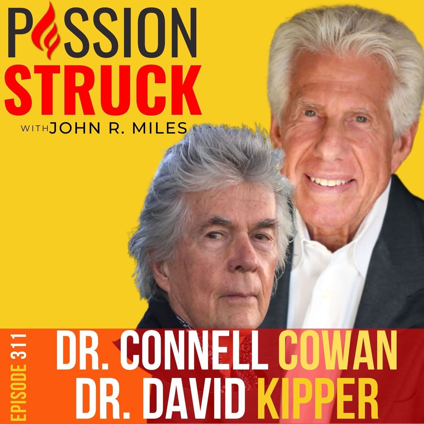 Dr. Connell Cowan and Dr. David Kipper on Overriding Brain Chemistry and Behavior Patterns EP 311 artwork