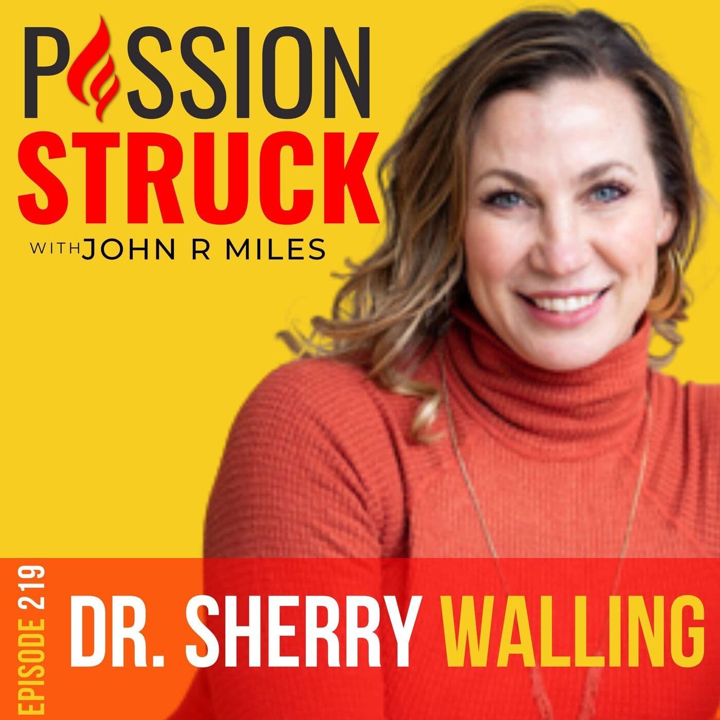 Dr. Sherry Walling on How to Engage With Grief and Find Hope After Loss EP 219 artwork