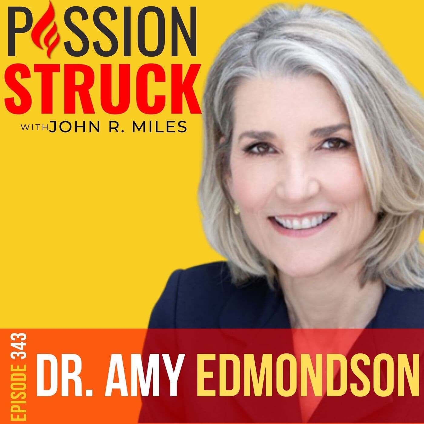 Dr. Amy Edmondson on Why Failure Is the Key to Success EP 343 artwork