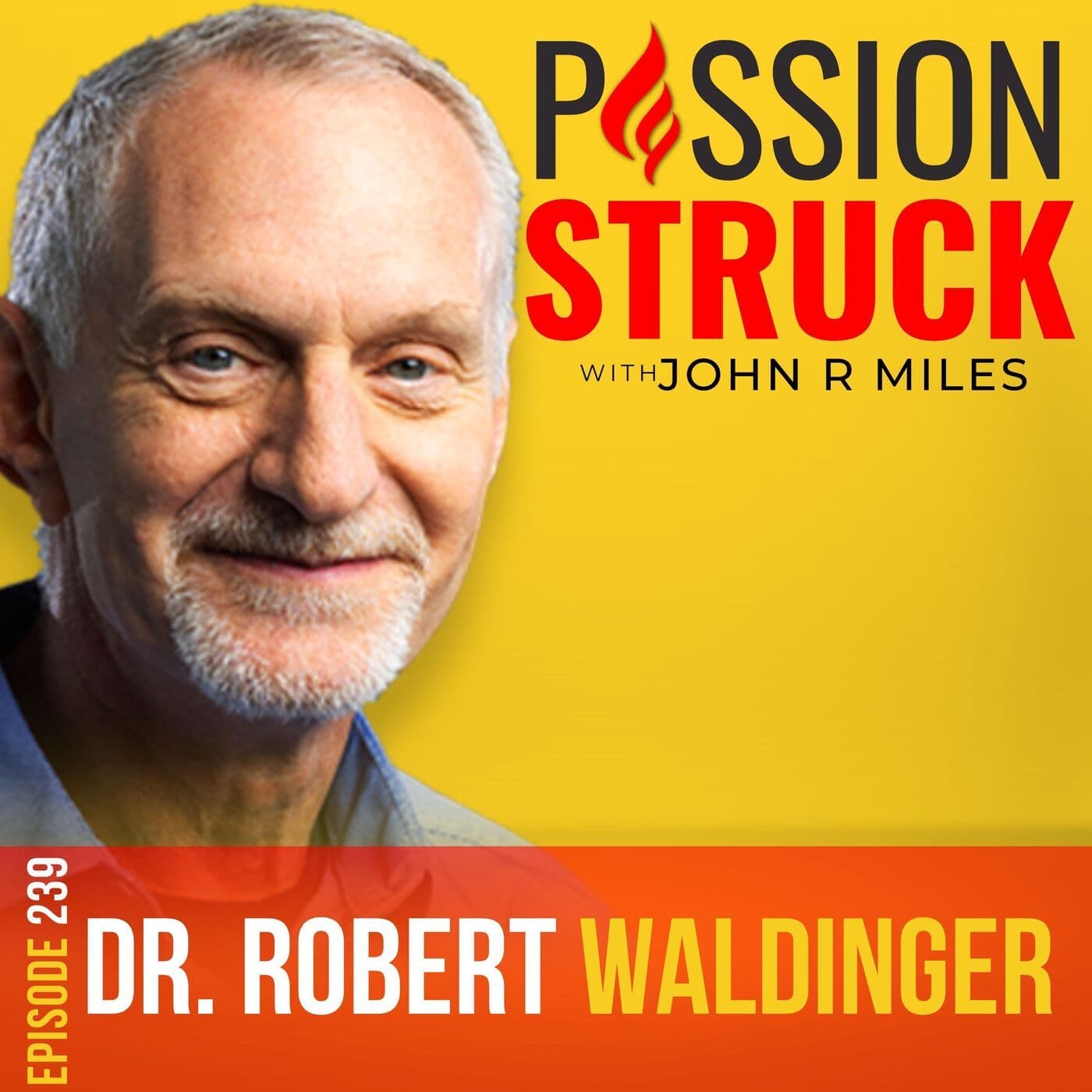 Robert Waldinger on What Are the Keys to Living a Good Life EP 239 artwork