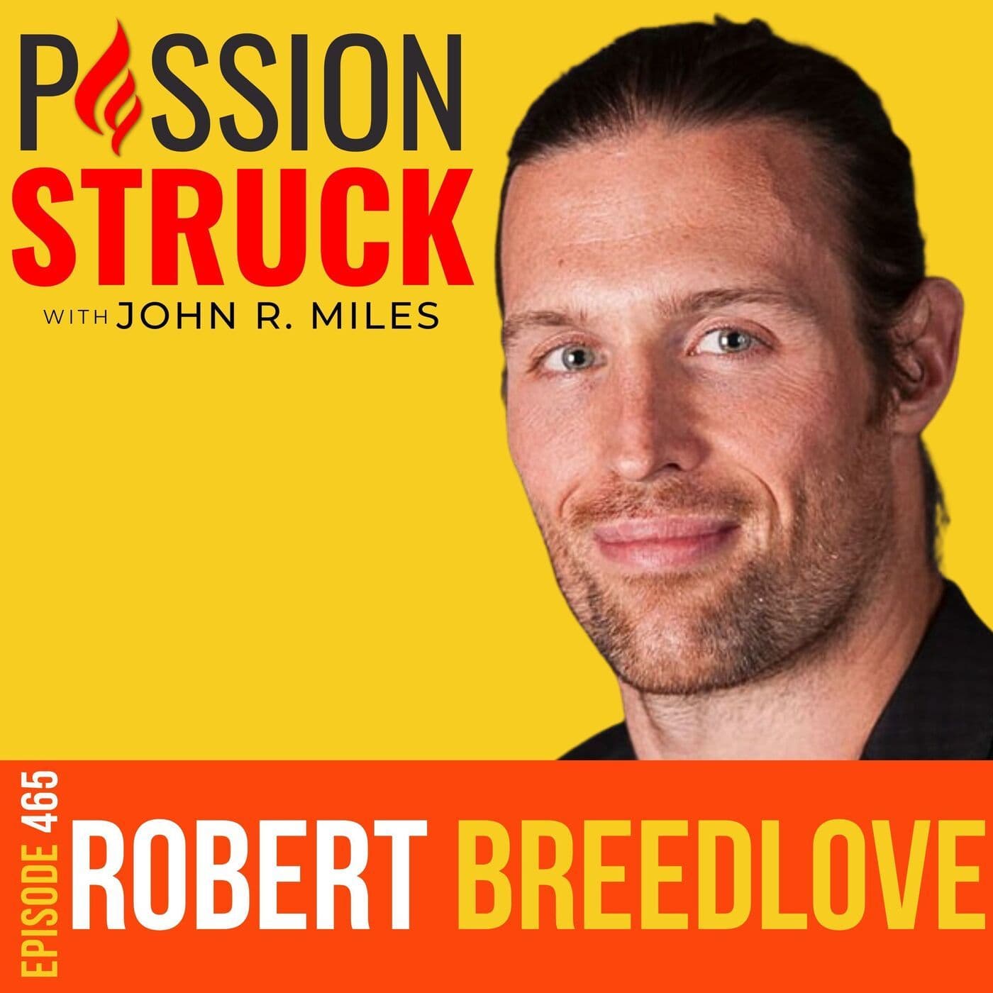 Robert Breedlove on the Hidden War on Financial Freedom EP 465 artwork