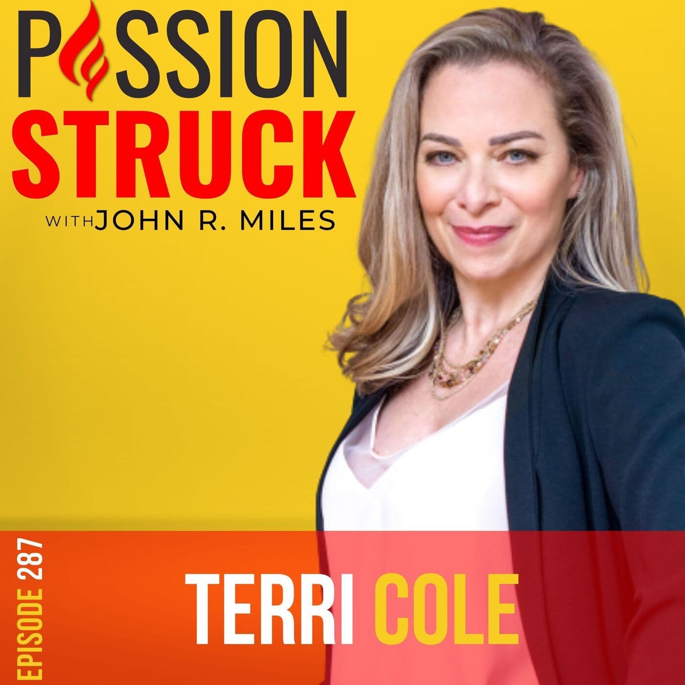 Terri Cole on How to Create Healthy Boundaries & Inner Peace EP 287 artwork
