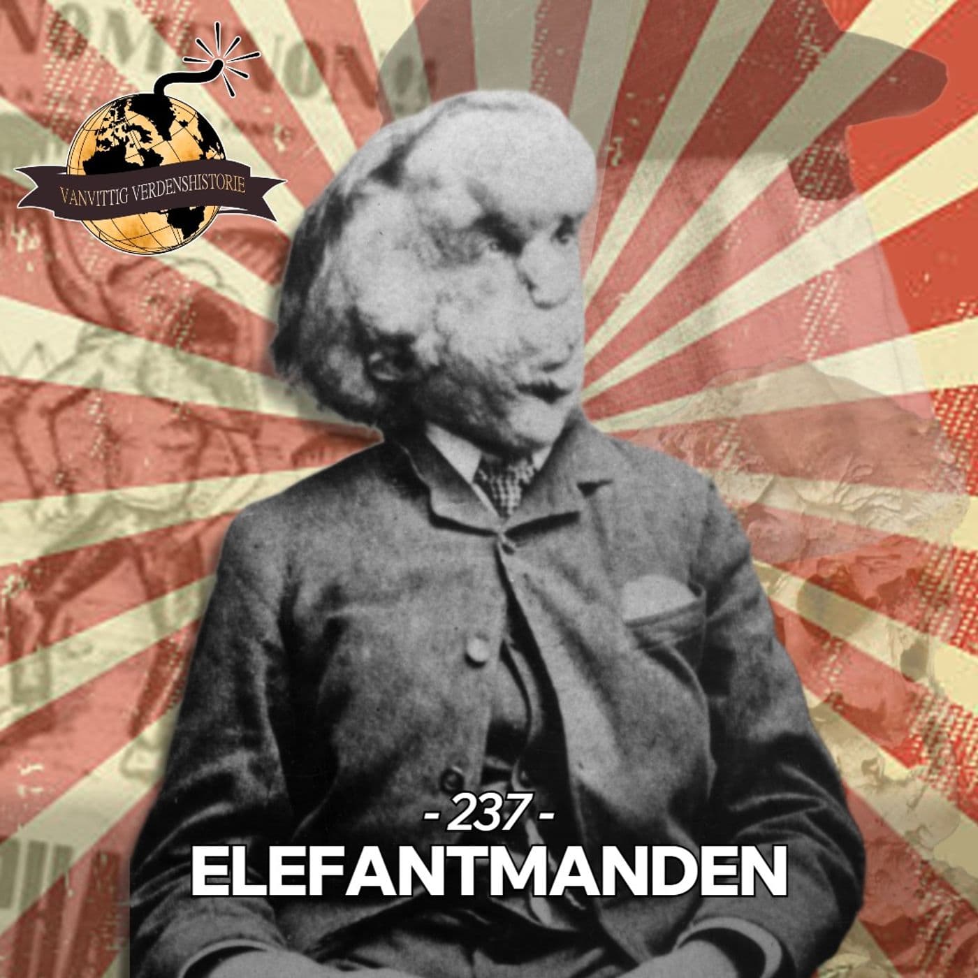 #237: Elefantmanden artwork