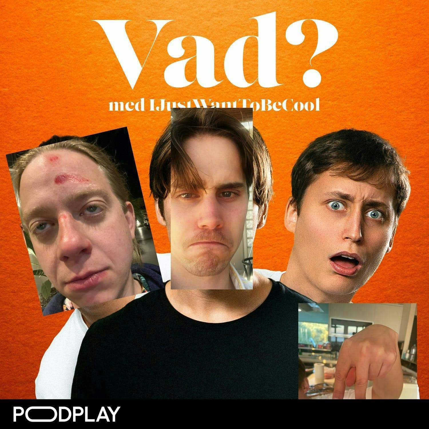 JOEL SKRAPAR UPP HELA ANSIKTET artwork
