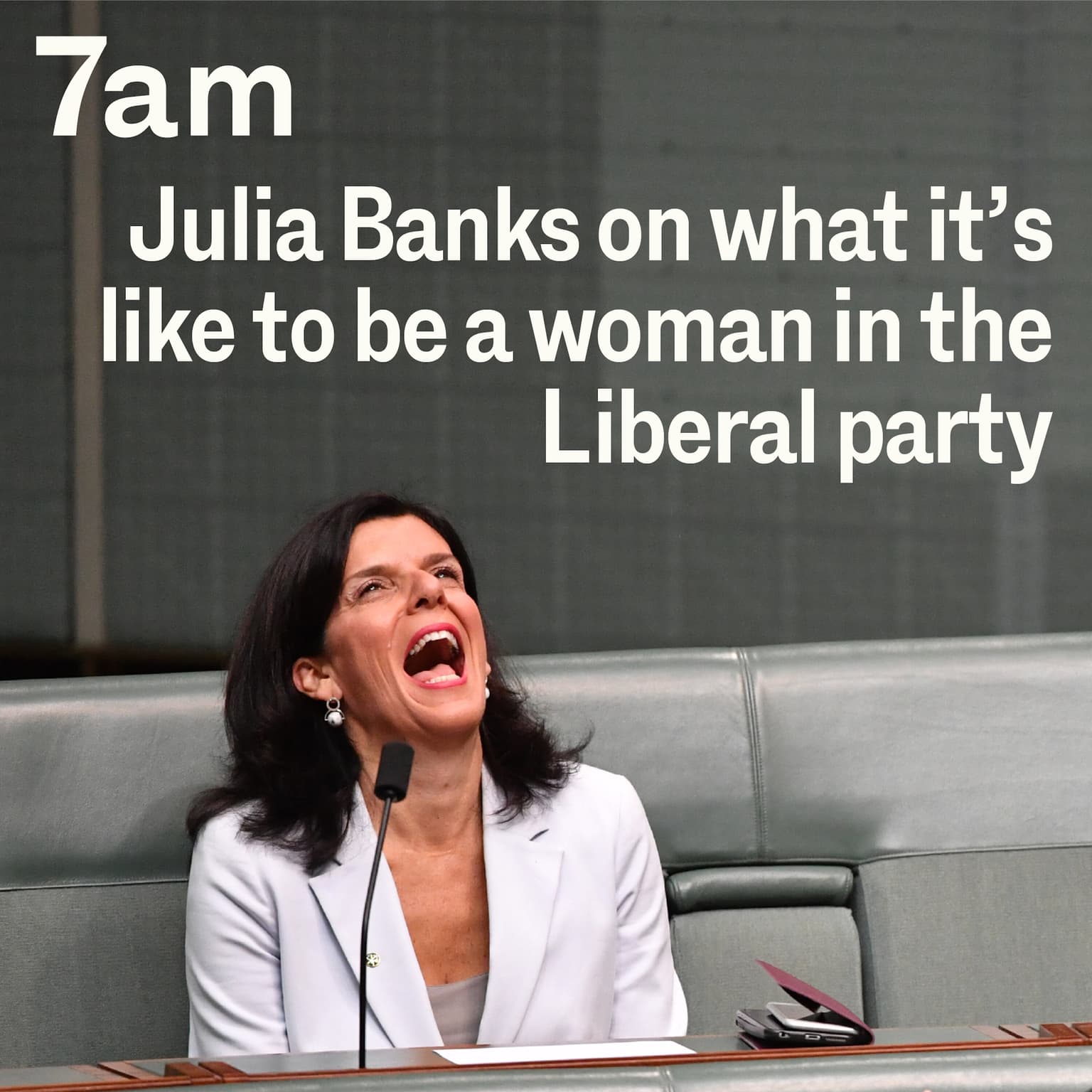 Julia Banks on what it’s like to be a woman in the Liberal Party artwork