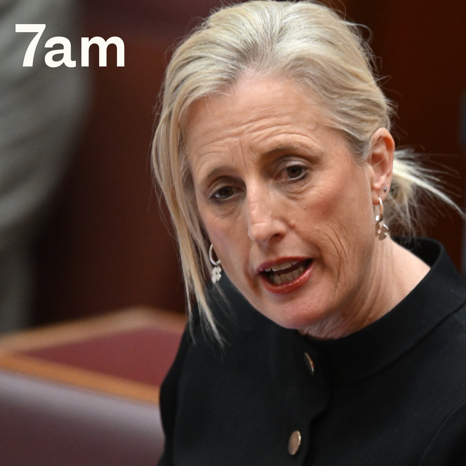 The secret ‘jobs for mates’ report Labor won’t release artwork