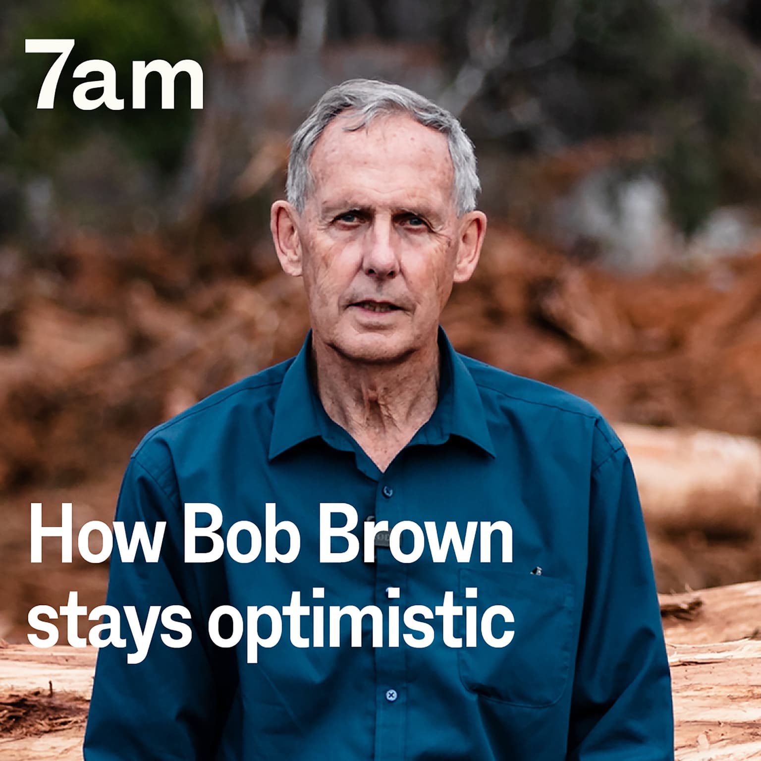 How Bob Brown stays optimistic artwork