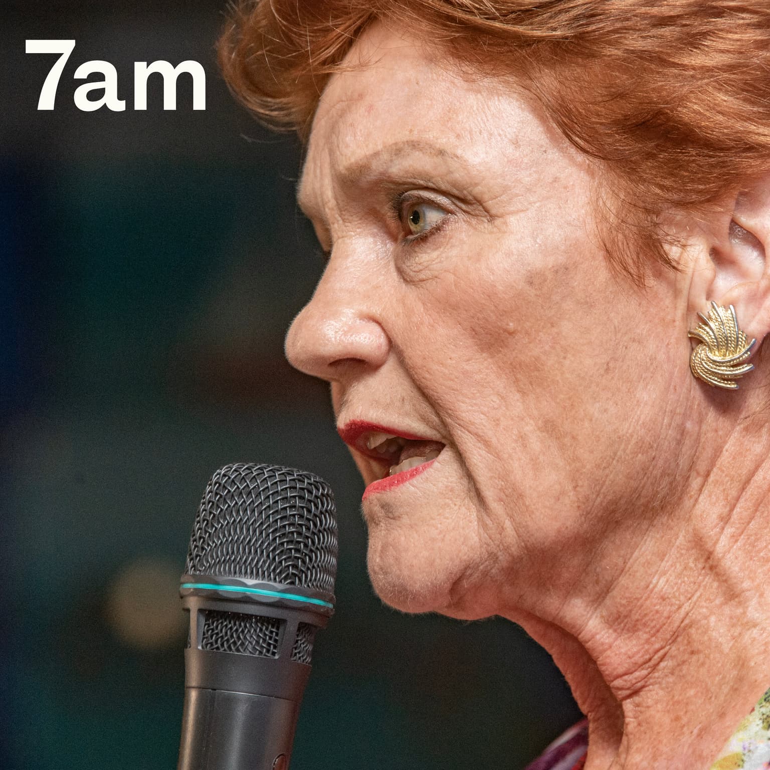 The new One Nation voters artwork