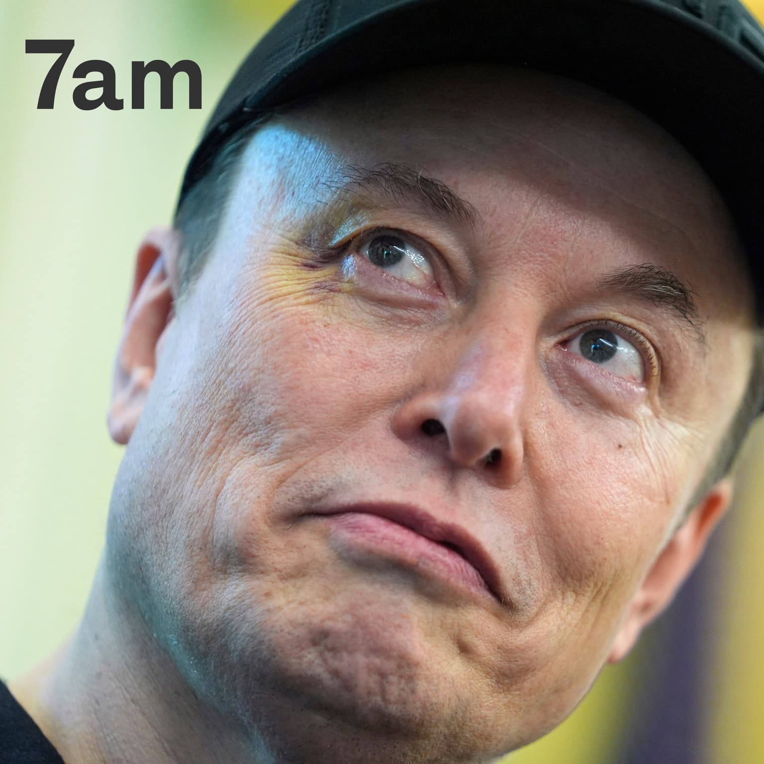 Elon Musk unleashed artwork