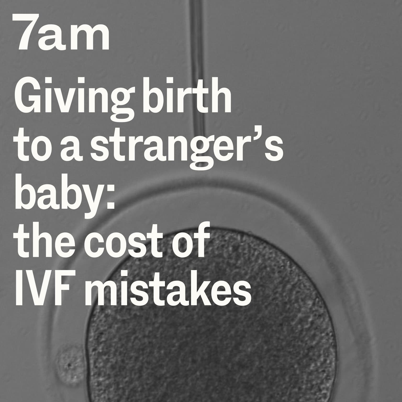 Giving birth to a stranger's baby: The cost of IVF mistakes artwork