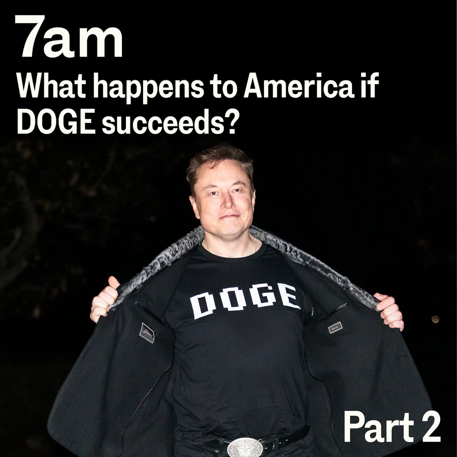 Part 2: What happens to America if DOGE succeeds artwork