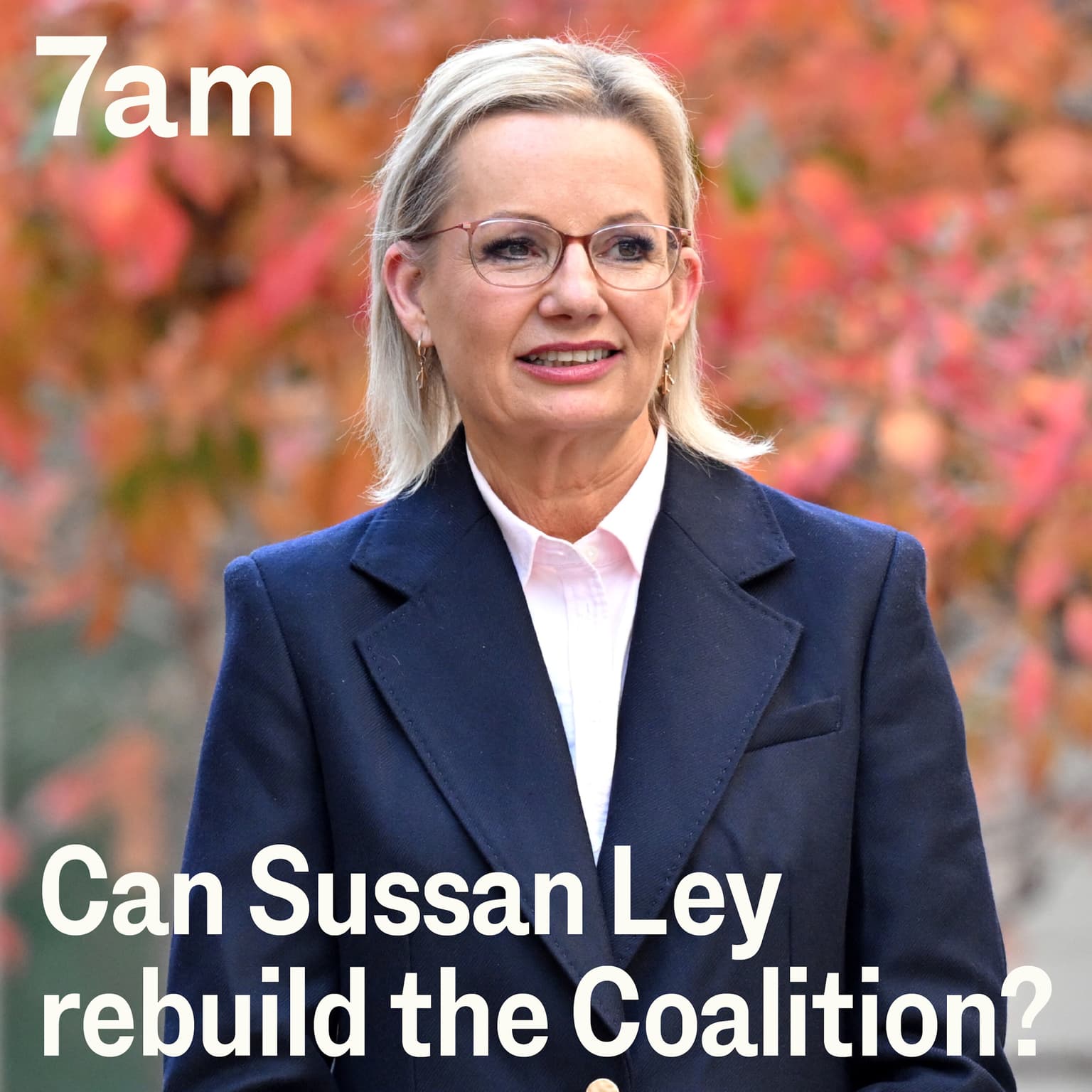 Can Sussan Ley rebuild the Coalition? artwork