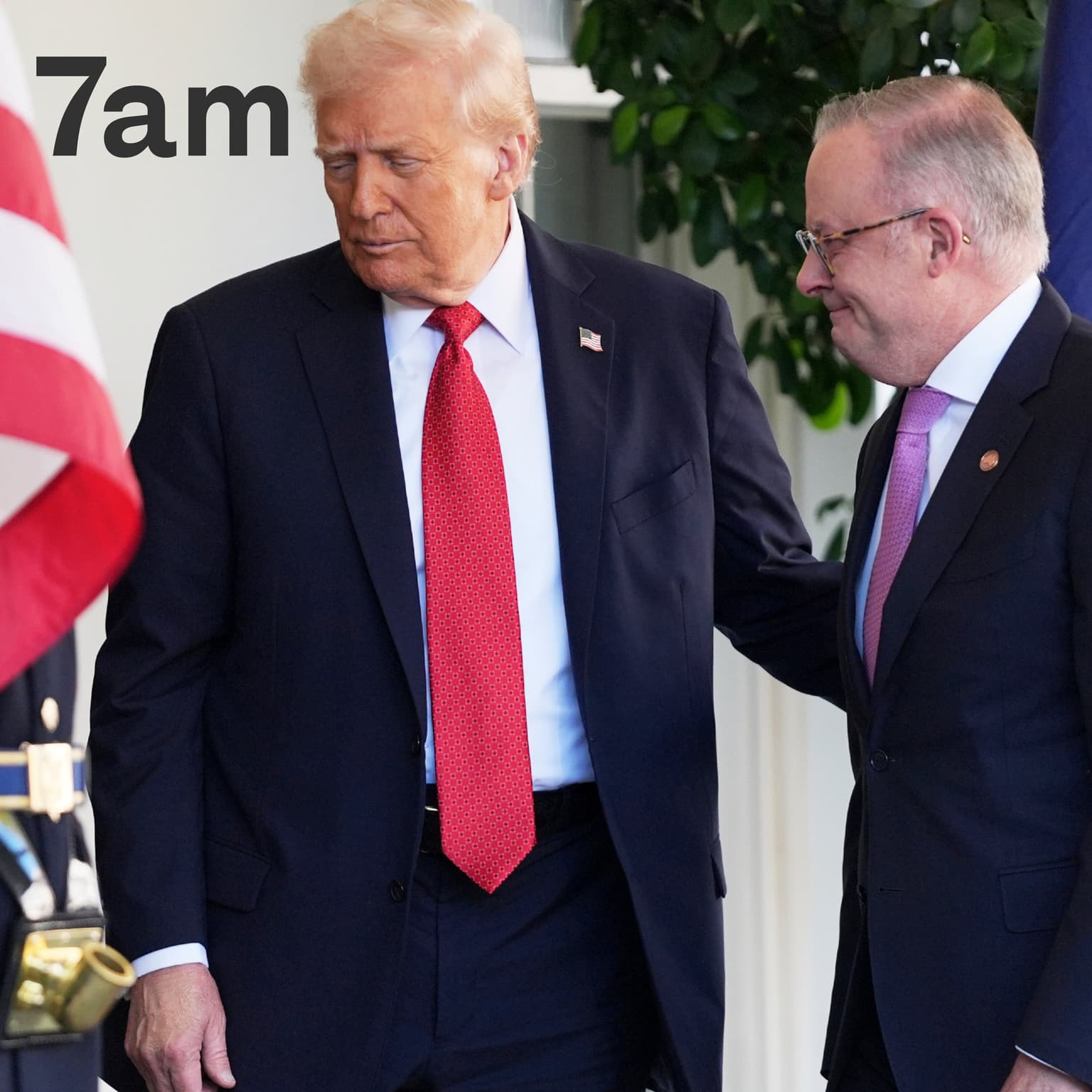 Trump and Albanese’s new friendship artwork