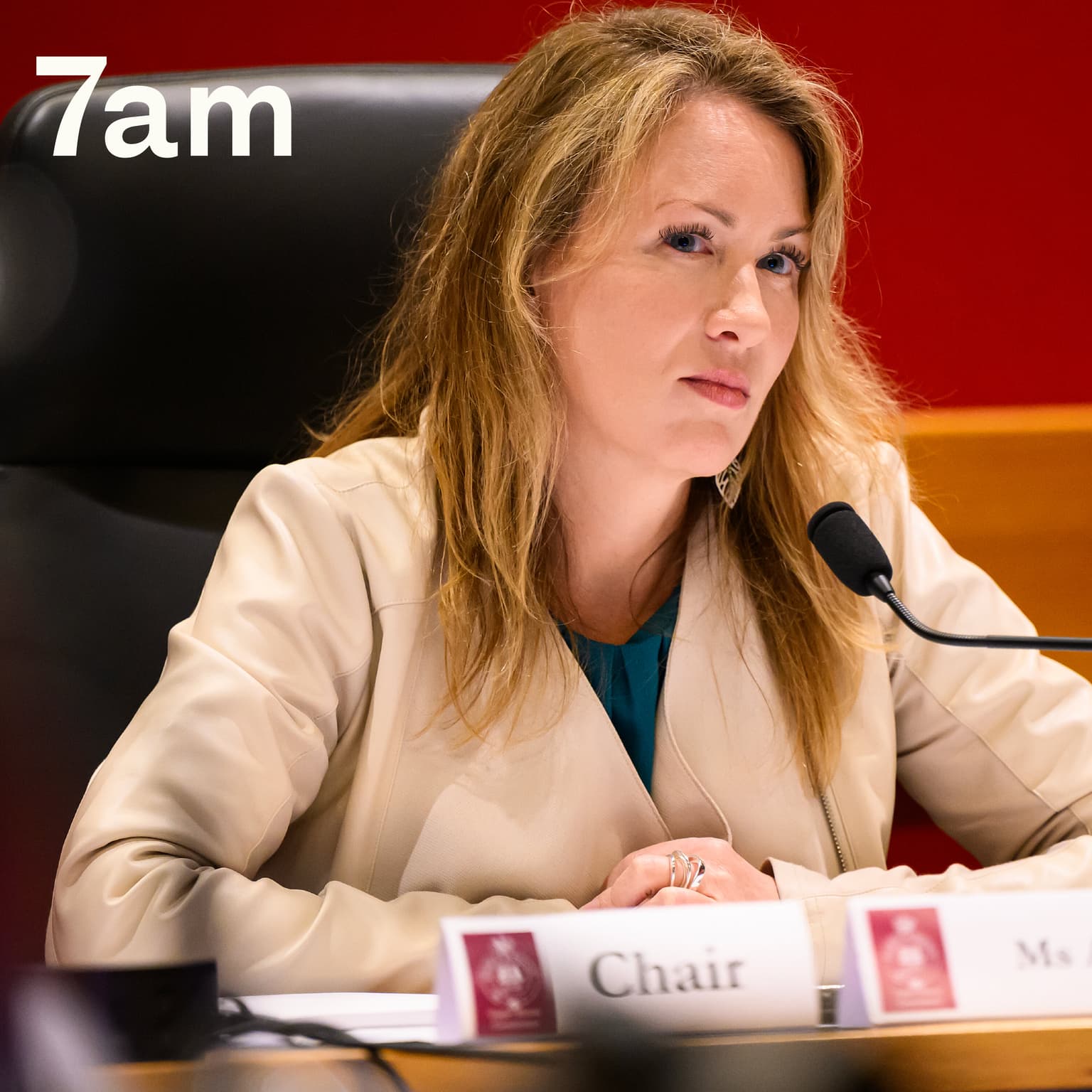 The woman who exposed the childcare industry artwork
