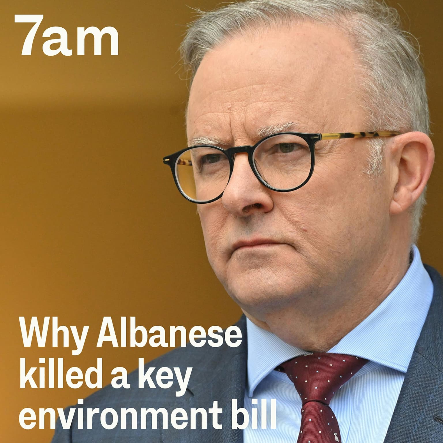 Why Albanese killed a key environment bill artwork