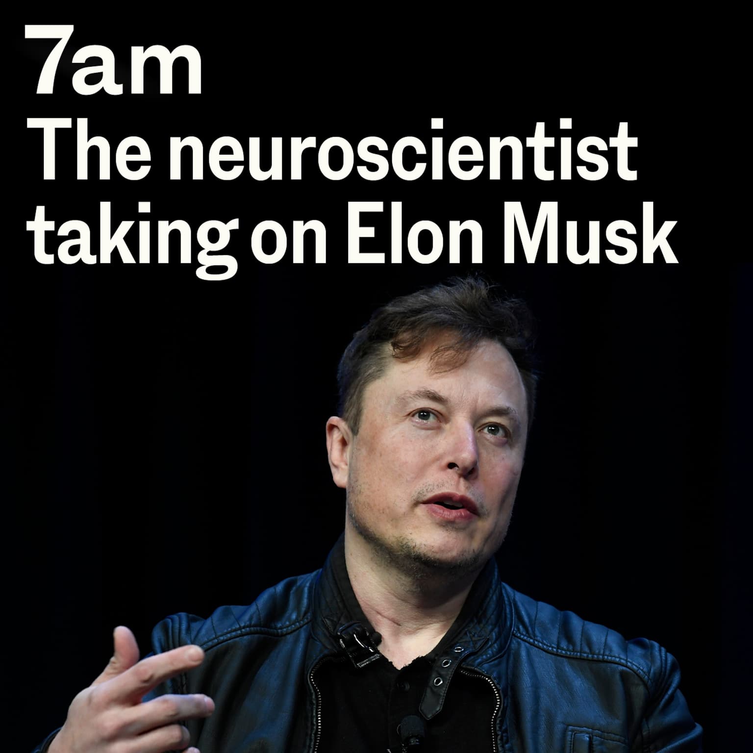 ‘A total, miserable, self-loathing poser’: The neuroscientist taking on Elon Musk artwork