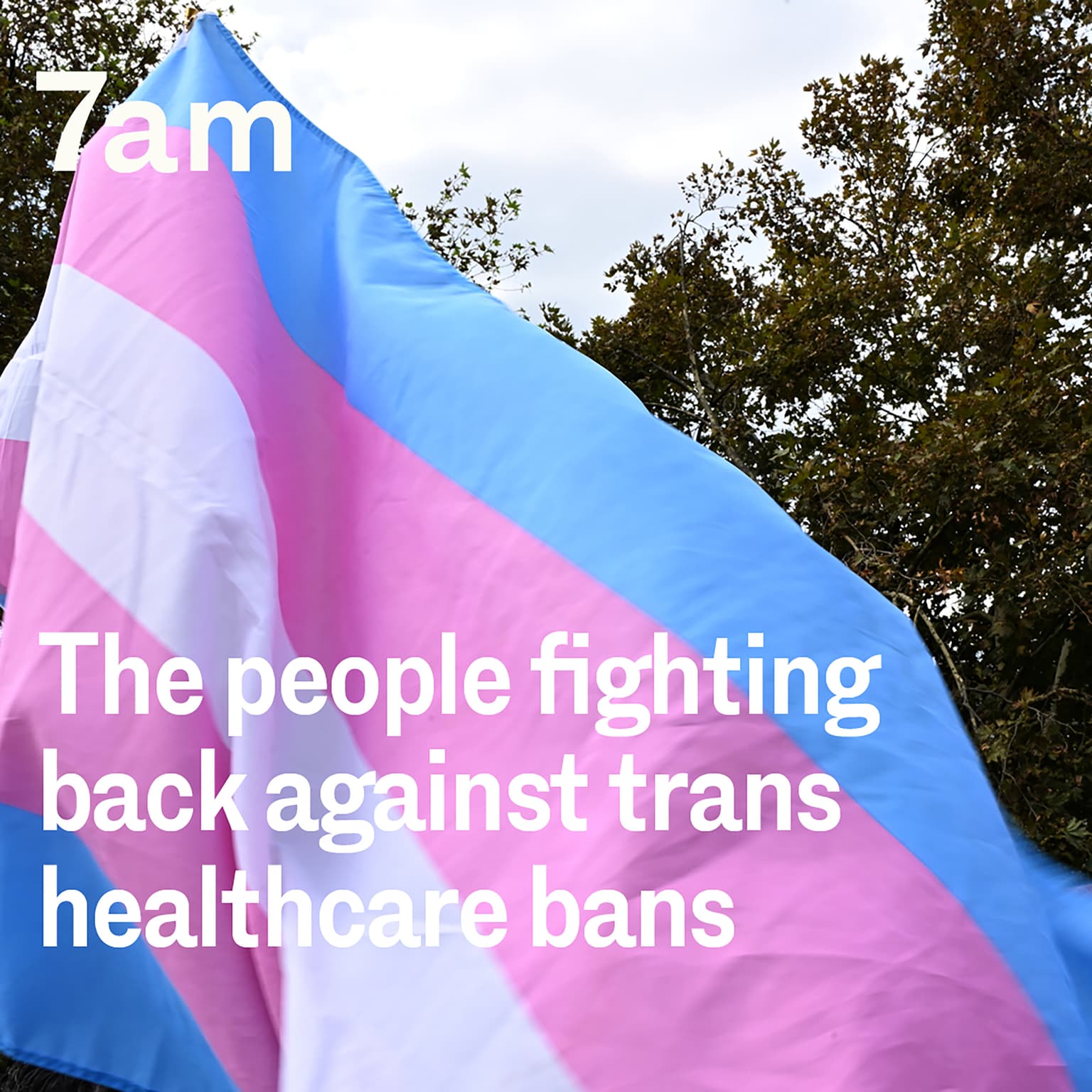 From Trump’s America to Queensland: The people fighting back against trans healthcare bans artwork